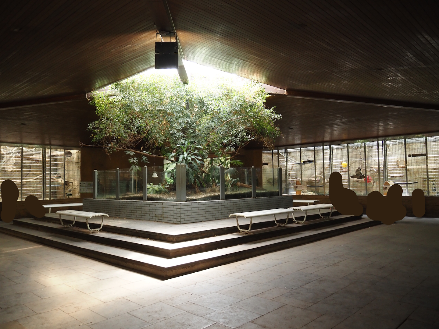 View in the Äquatorium with gorilla and mangabeys exhibits and former sloth exhibit, 2024-06-08