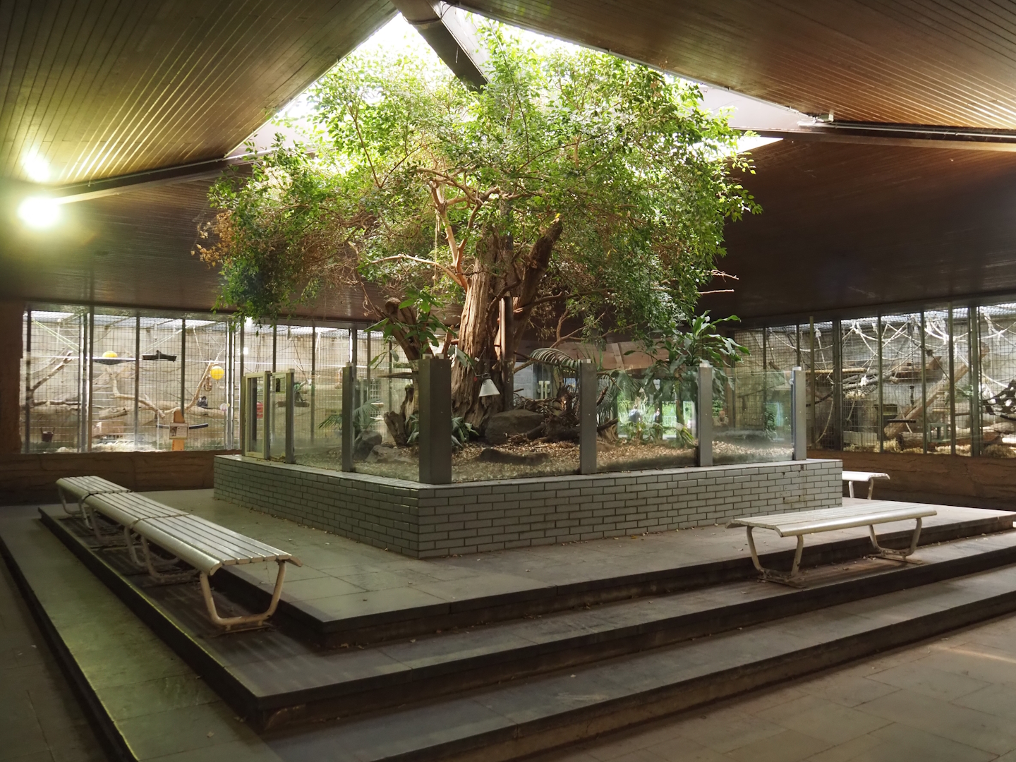 View in the Äquatorium with gorilla and mangabeys exhibits and former sloth exhibit, 2024-06-08