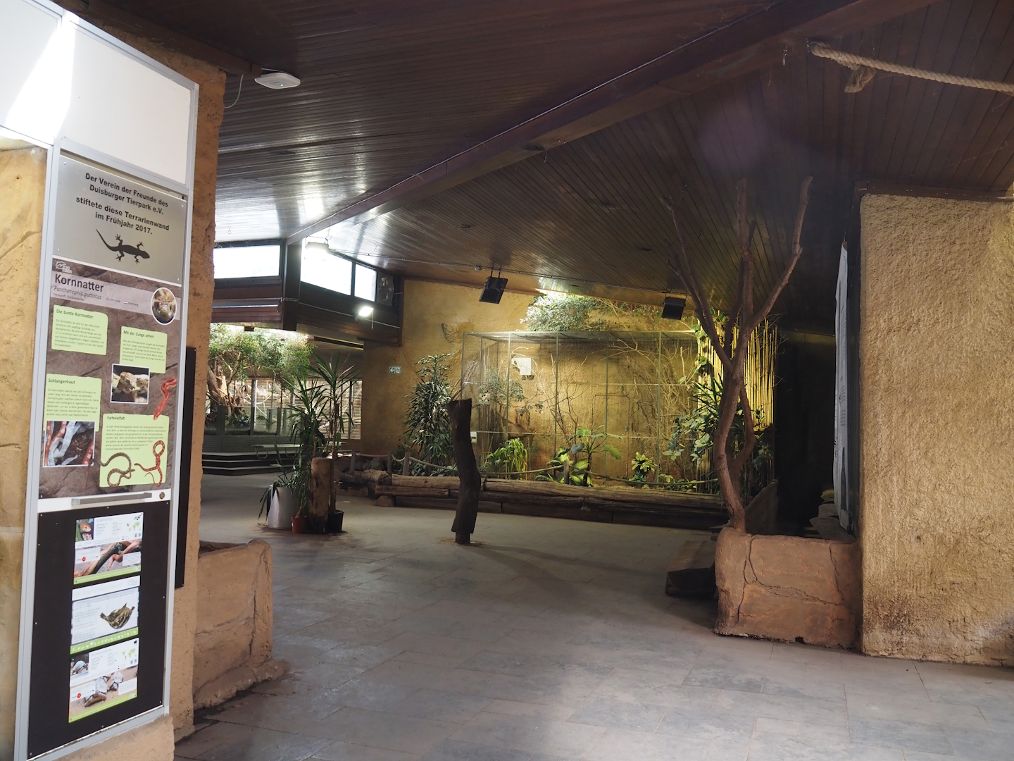 View in the Äquatorium with Grey-breasted conure and Bar-shouldered dove aviary, 2024-06-08