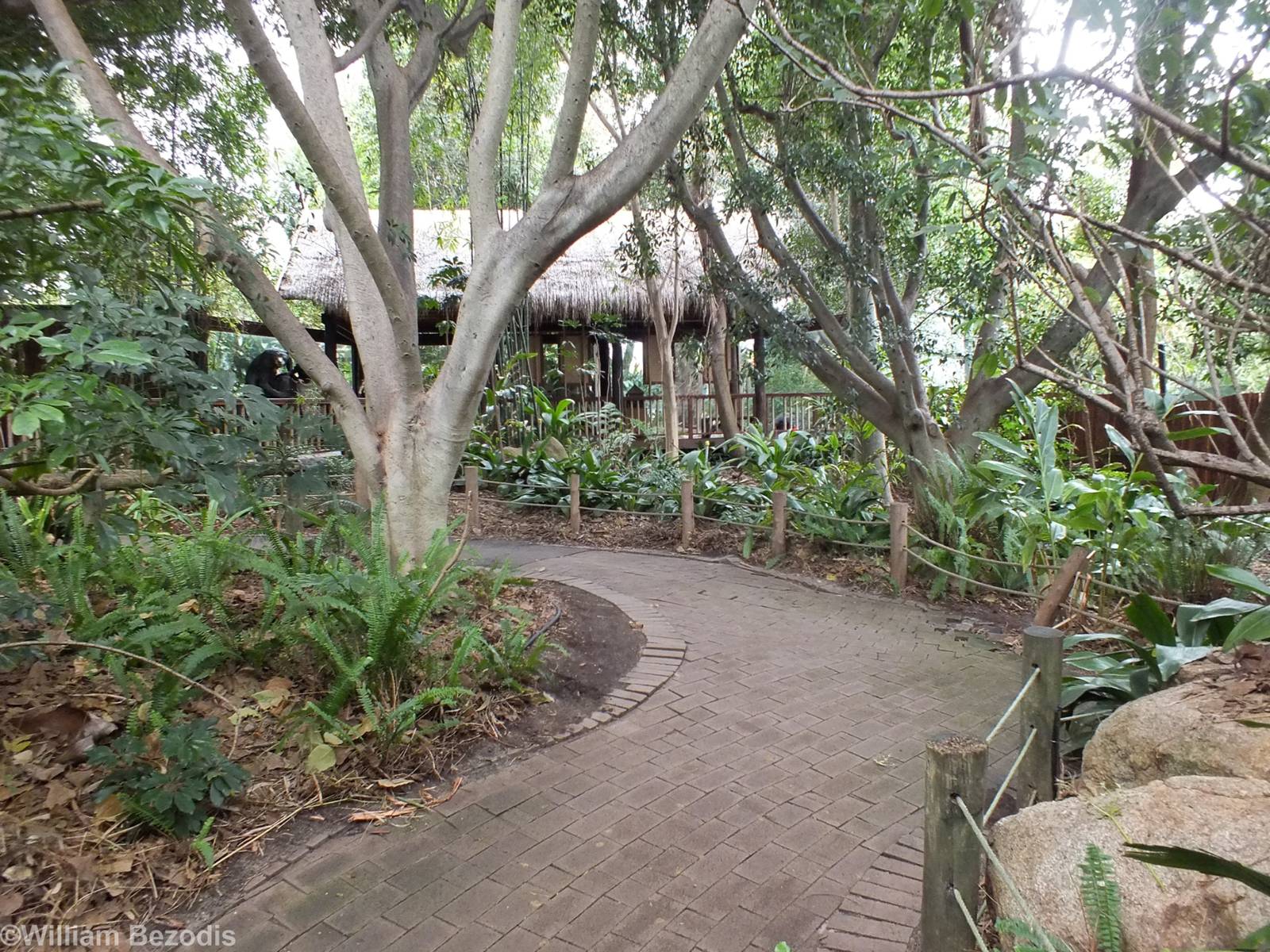 View in the Asia Section