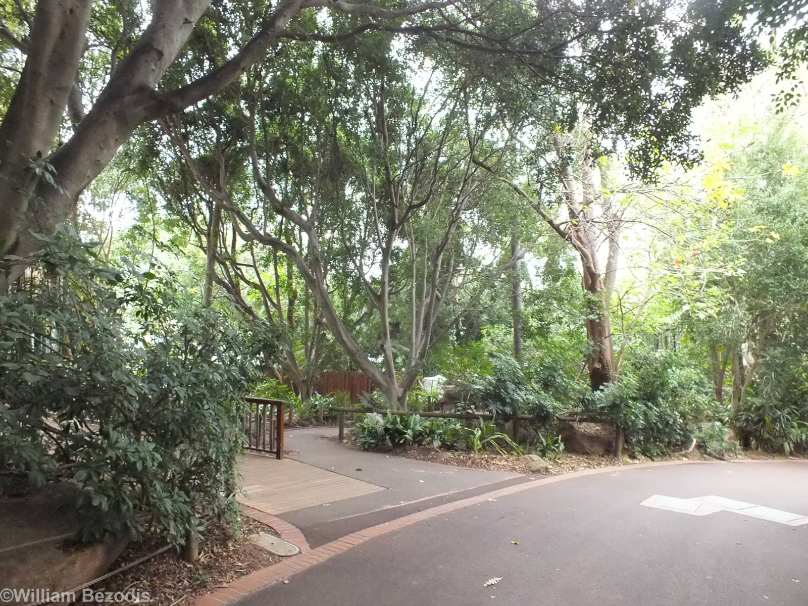 View in the Asia Section