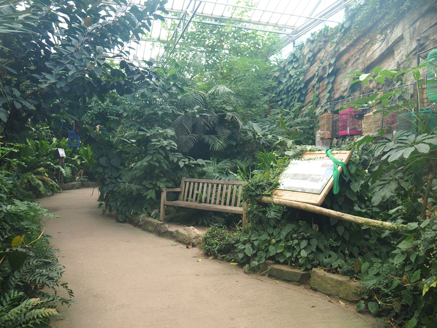 View in the Asian greenhouse, 2020-01-11