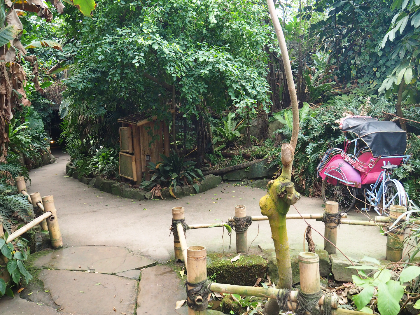 View in the Asian greenhouse, 2020-01-11