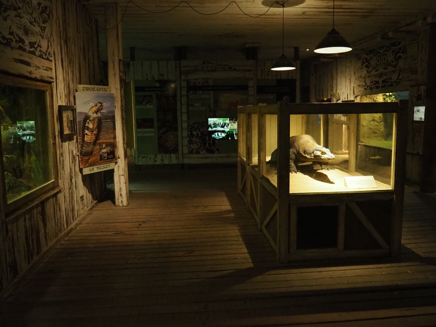 View in the Asian house (Nov 10th, 2018)