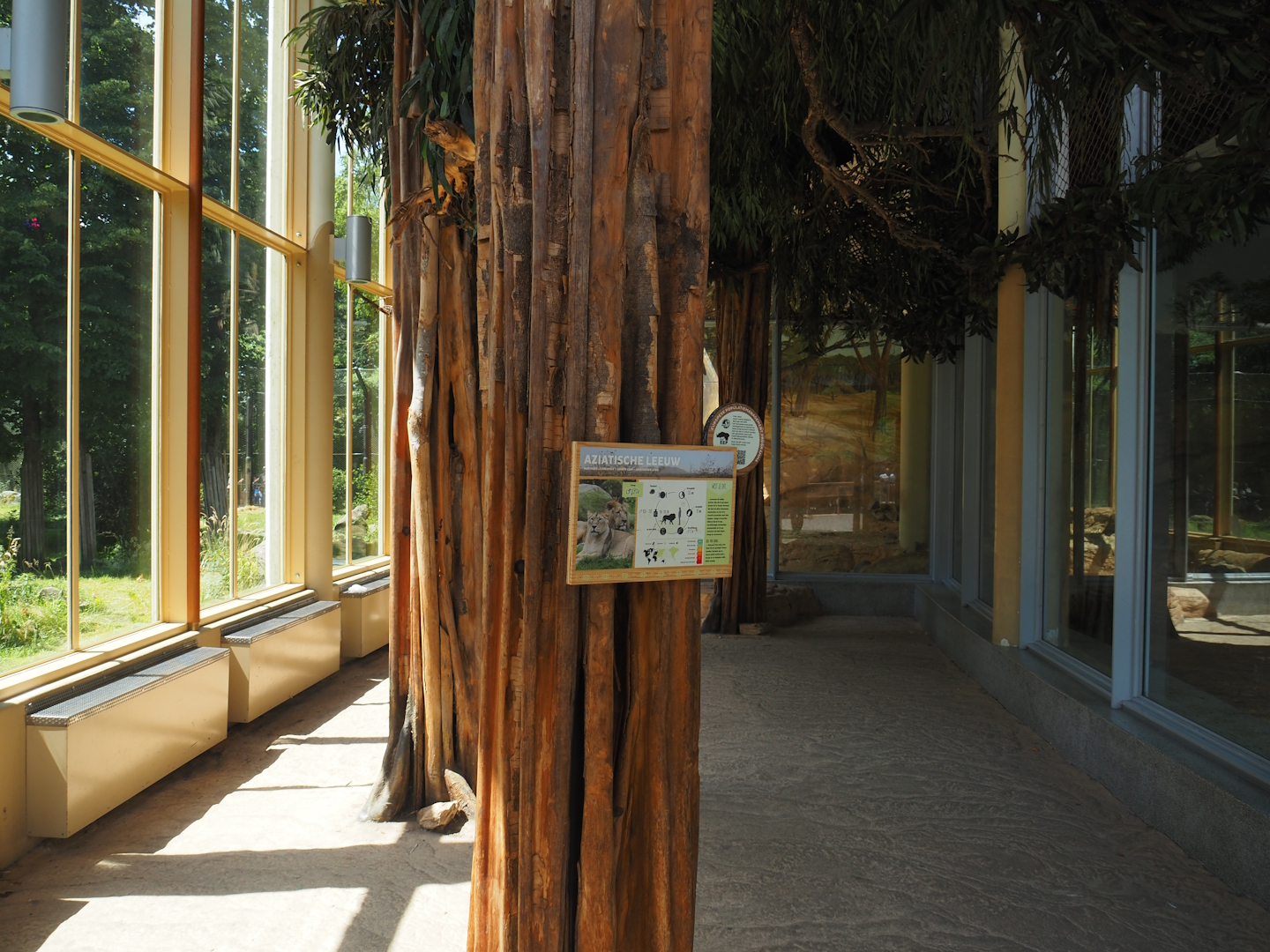 View in the Asiatic lion house, 2024-06-30