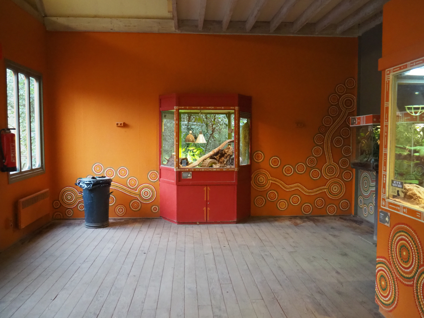 View in the Australian aquarium and terrarium house, 2020-01-11