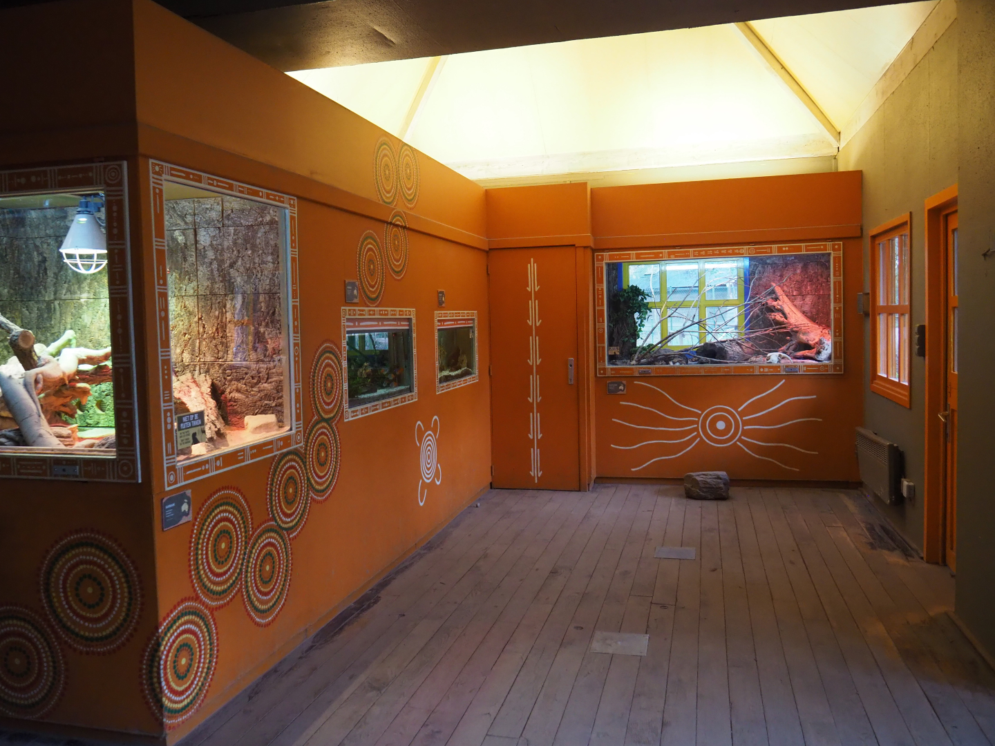 View in the Australian aquarium and terrarium house, 2020-01-11