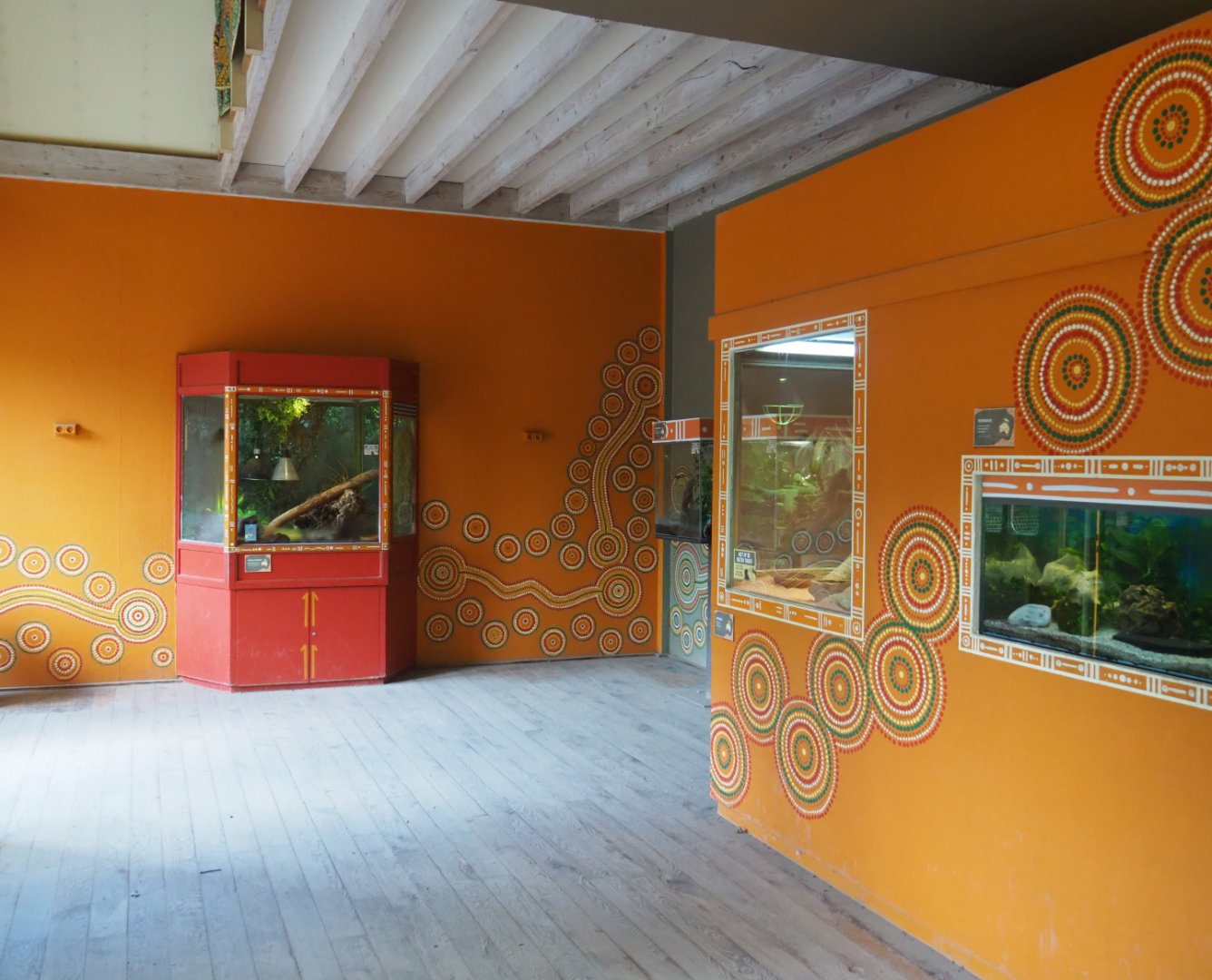 View in the Australian aquarium and vivarium house, 2020-08-15