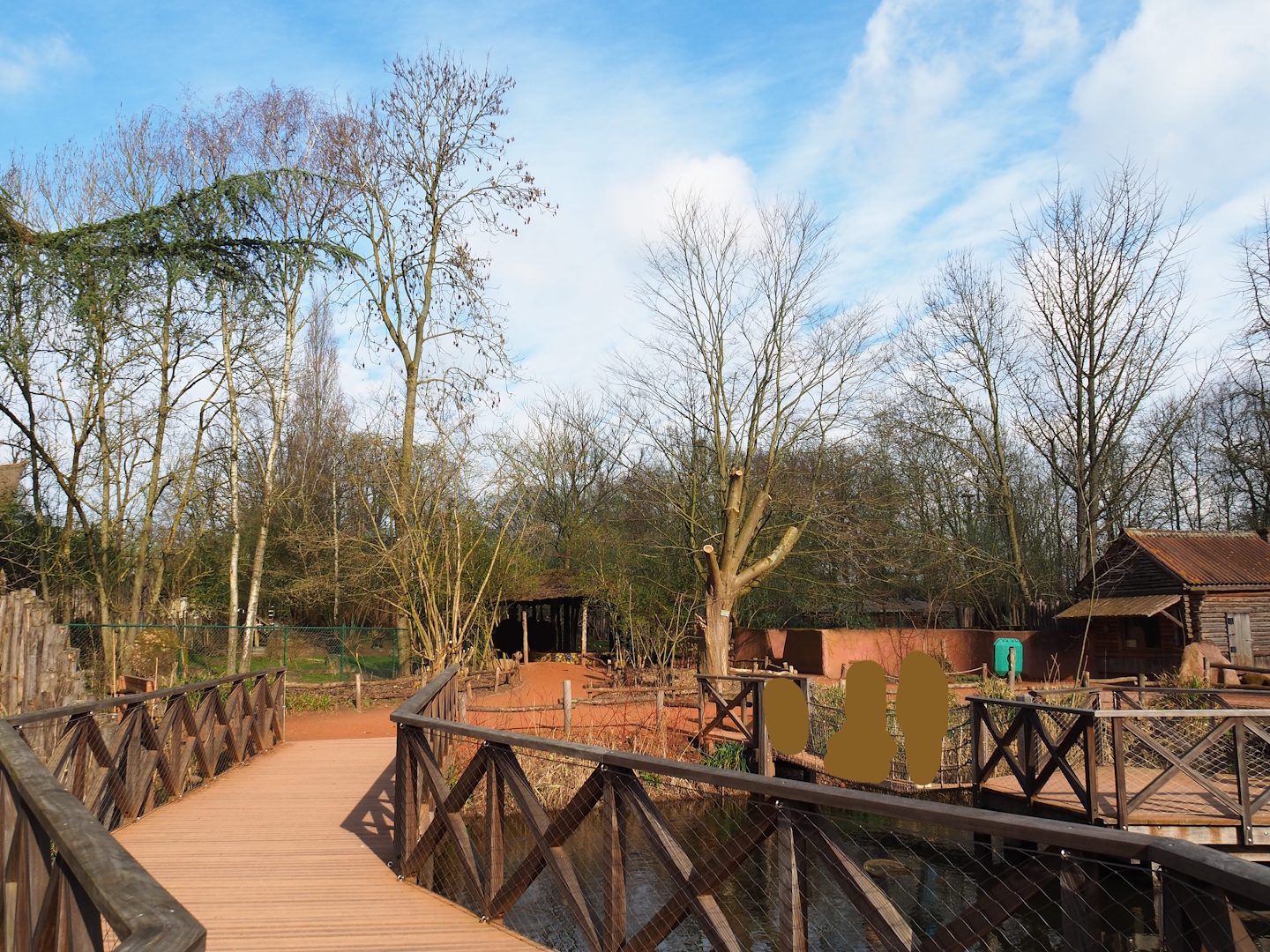 View in the Australian area, from the boardwalk near the first cassowary exhibit towards the macropods and the Tasmanian devils, 2024-03-04
