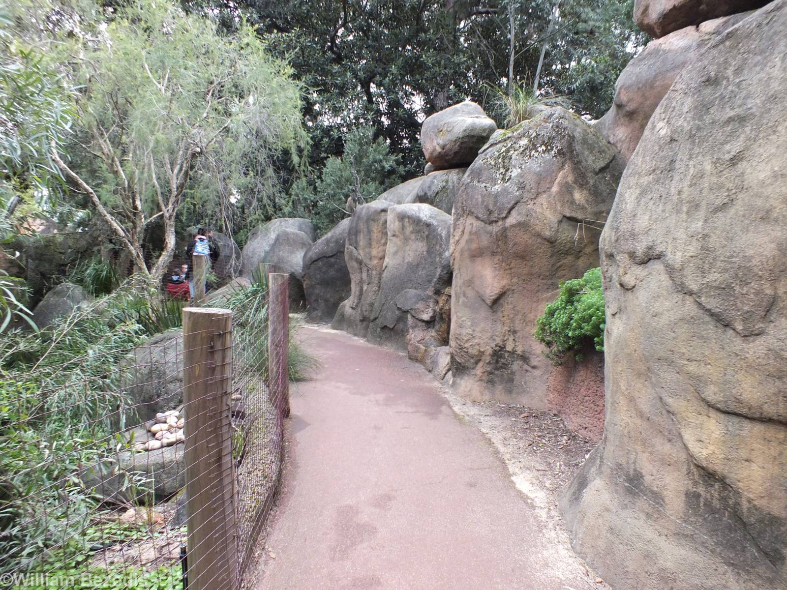 View in the Australian Bushwalk Exhibit