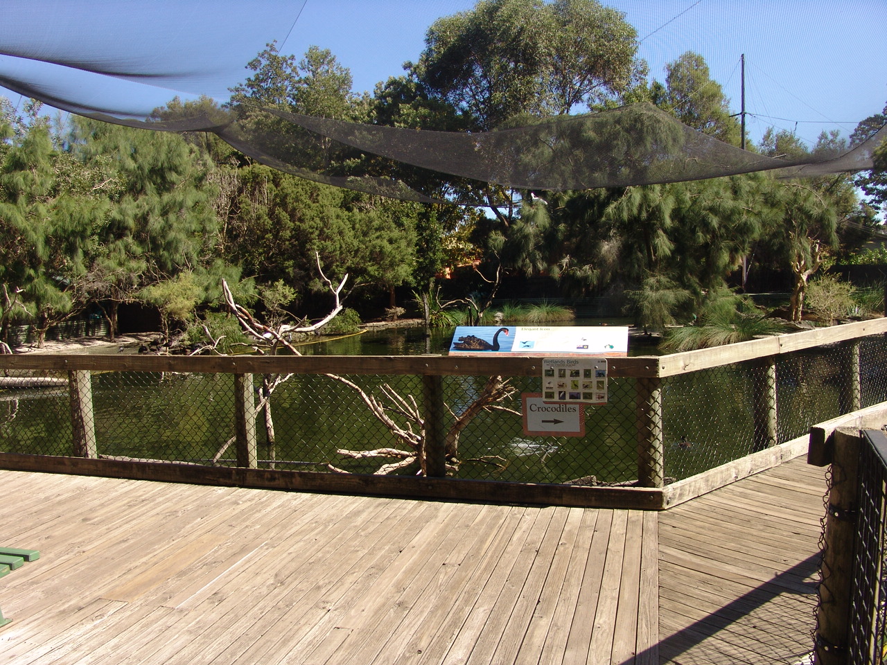 View in the "Australian Wetlands" aviary