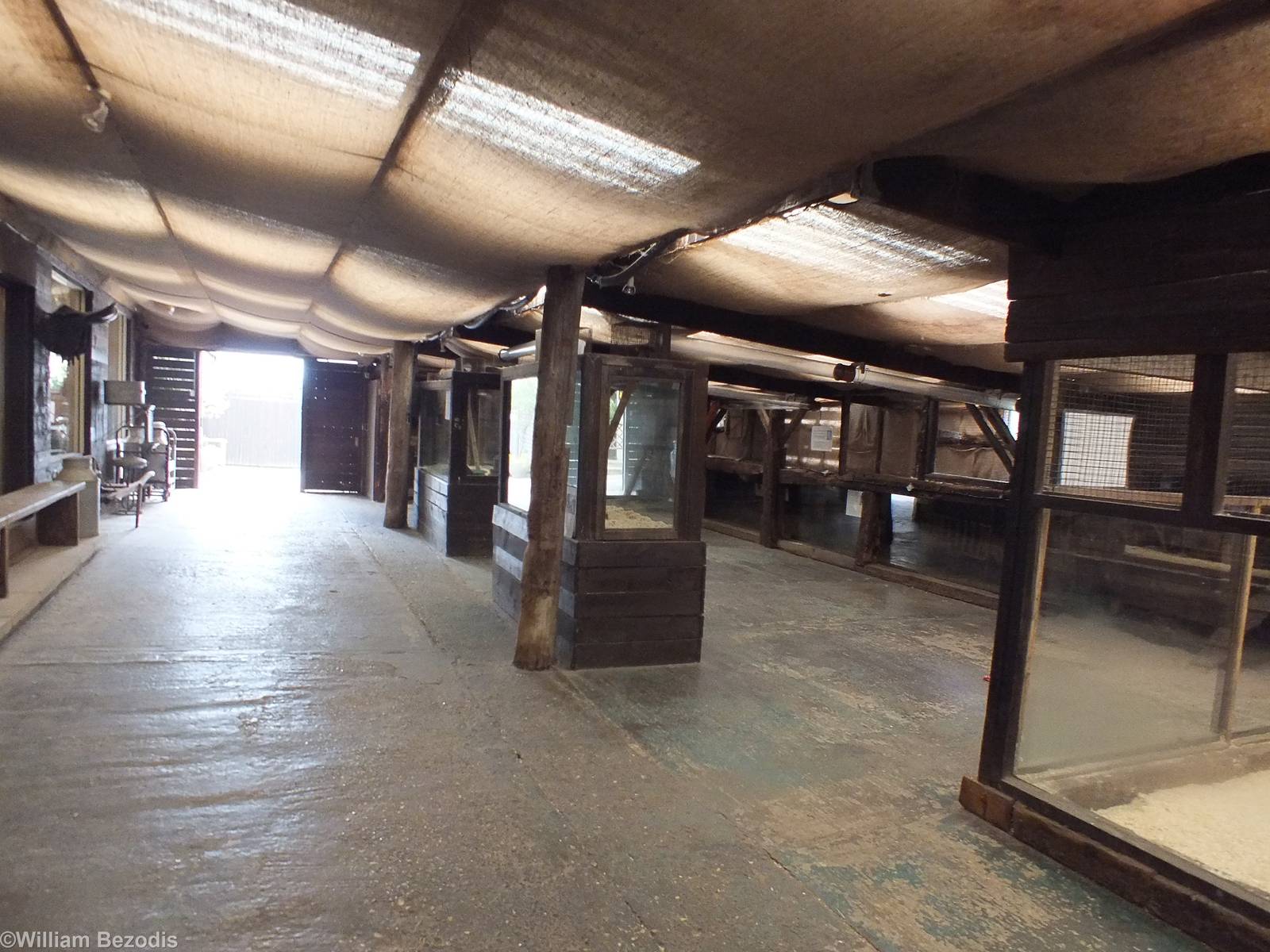 View in the Barn Area