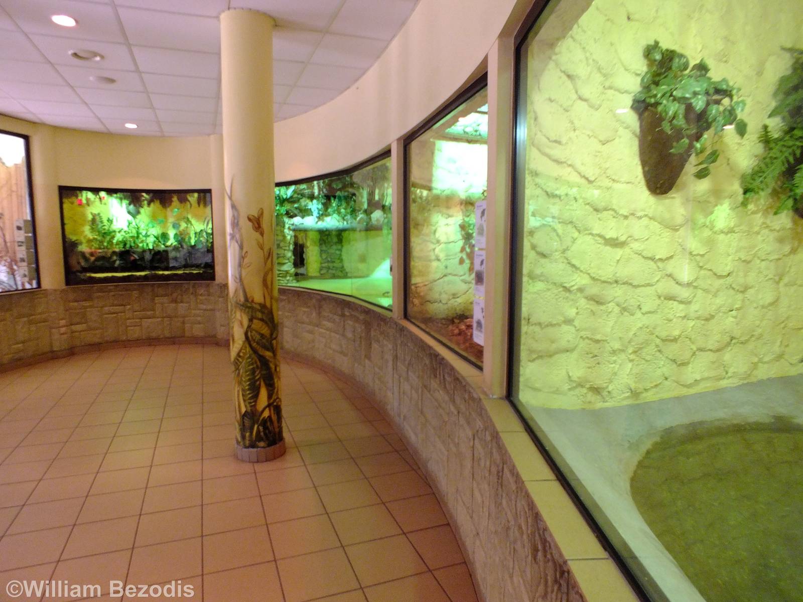 View in the Bird and Reptile Pavilion