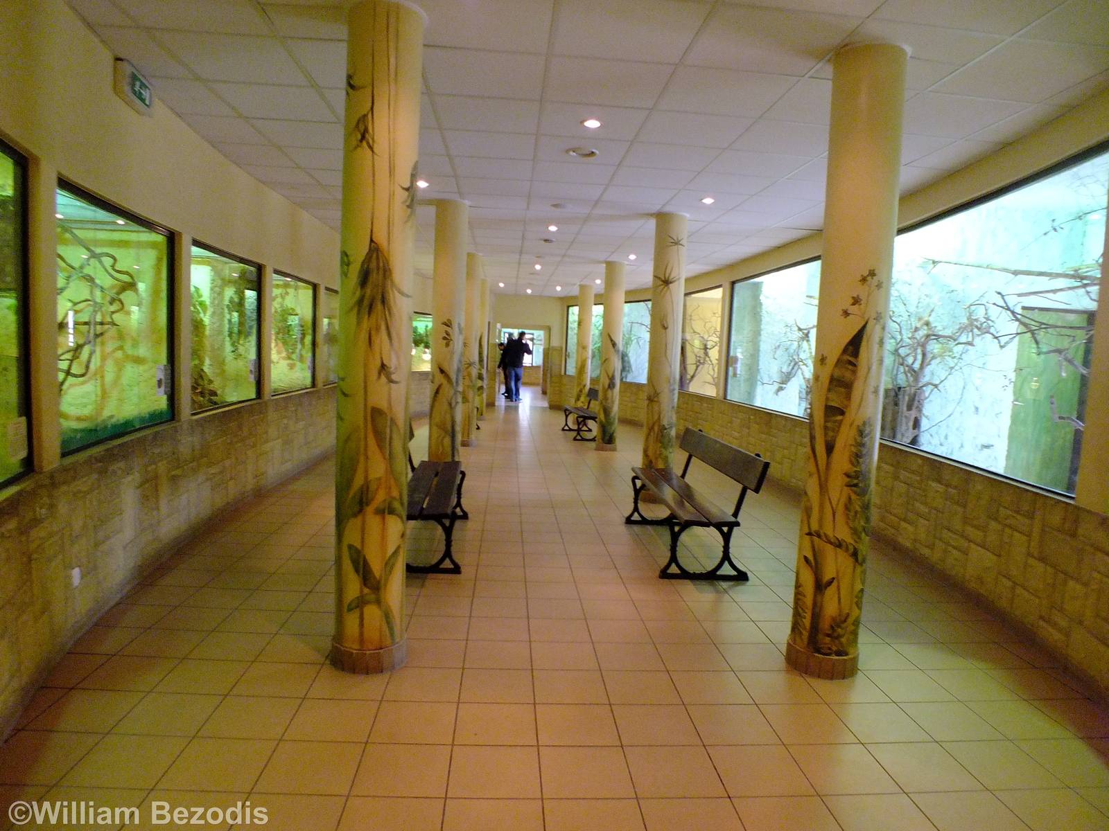 View in the Bird and Reptile Pavilion