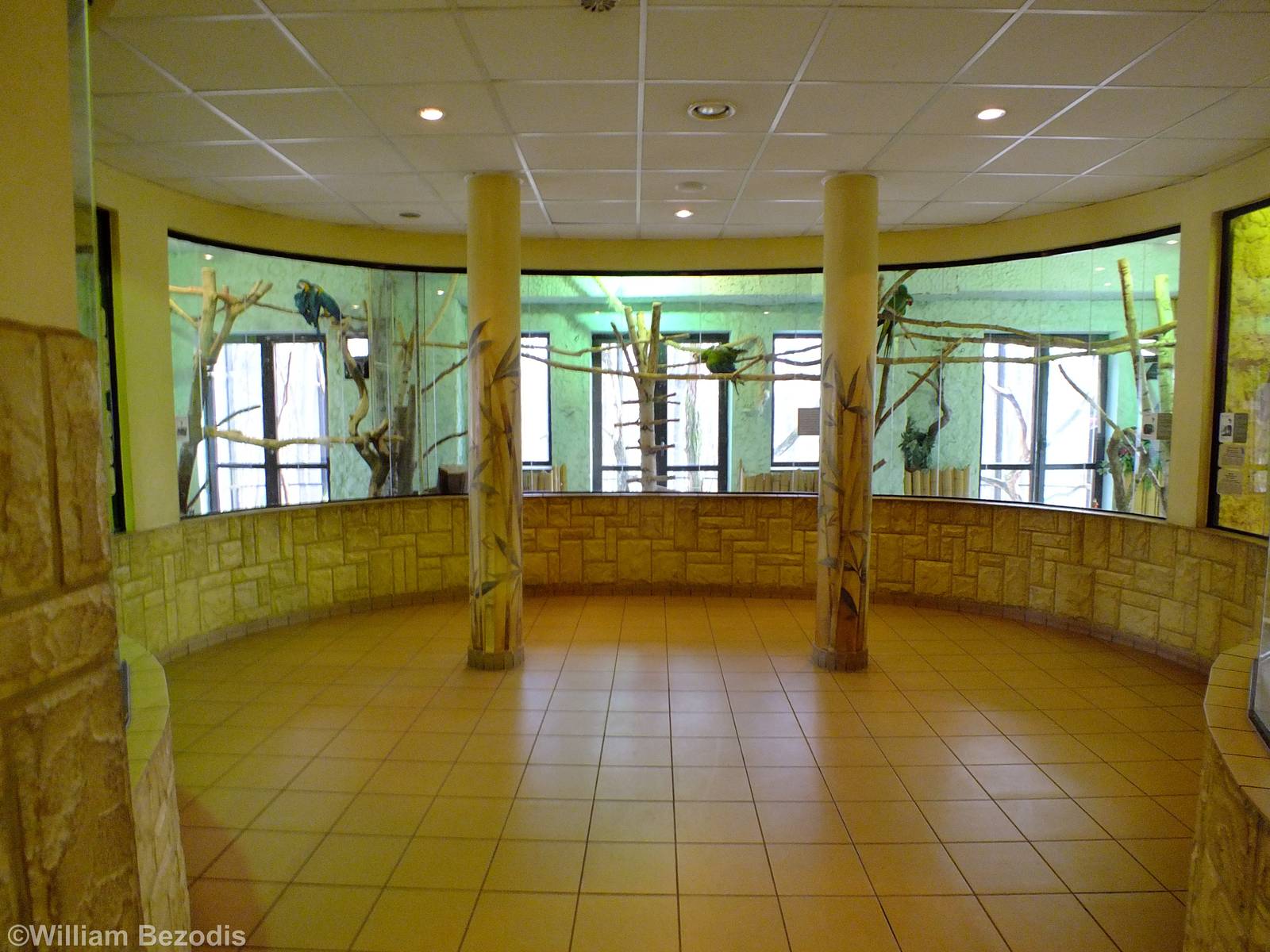 View in the Bird and Reptile Pavilion