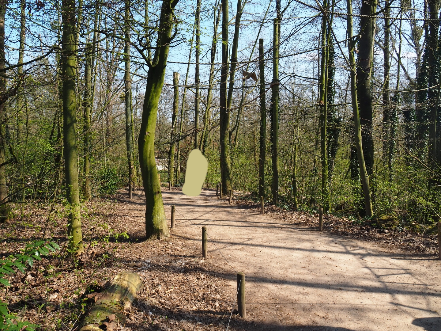 View in the Bolivian squirrel monkey forest, 2019-03-30