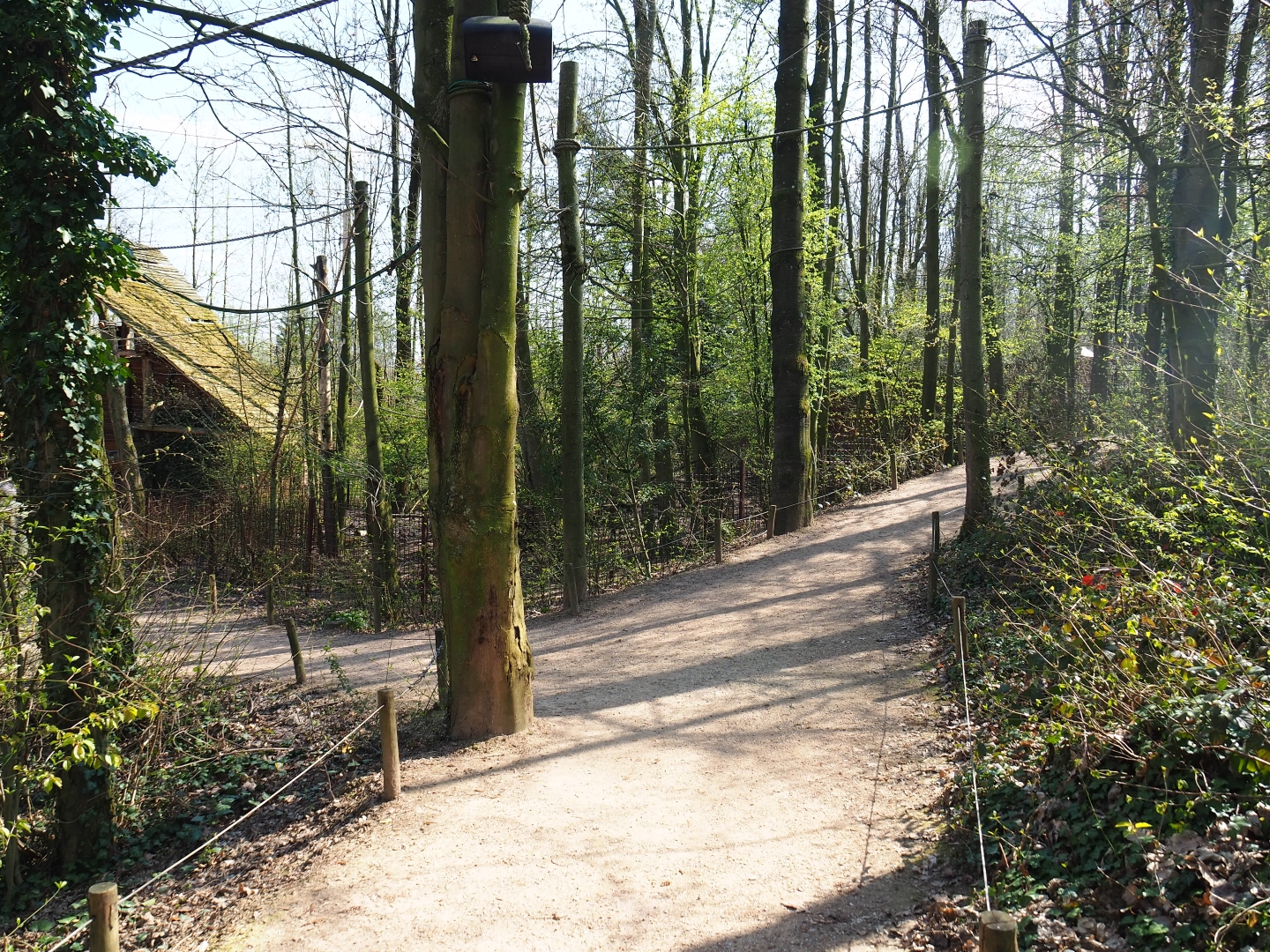 View in the Bolivian squirrel monkey forest, 2019-03-30