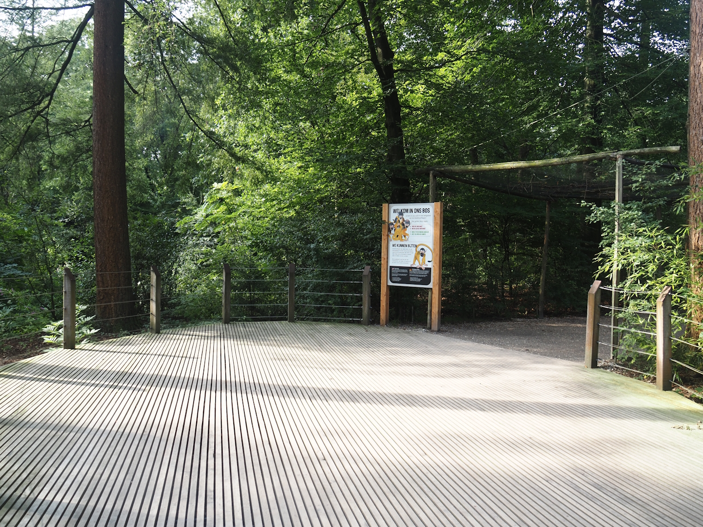 View in the Bolivian squirrel monkey forest, 2024-08-18