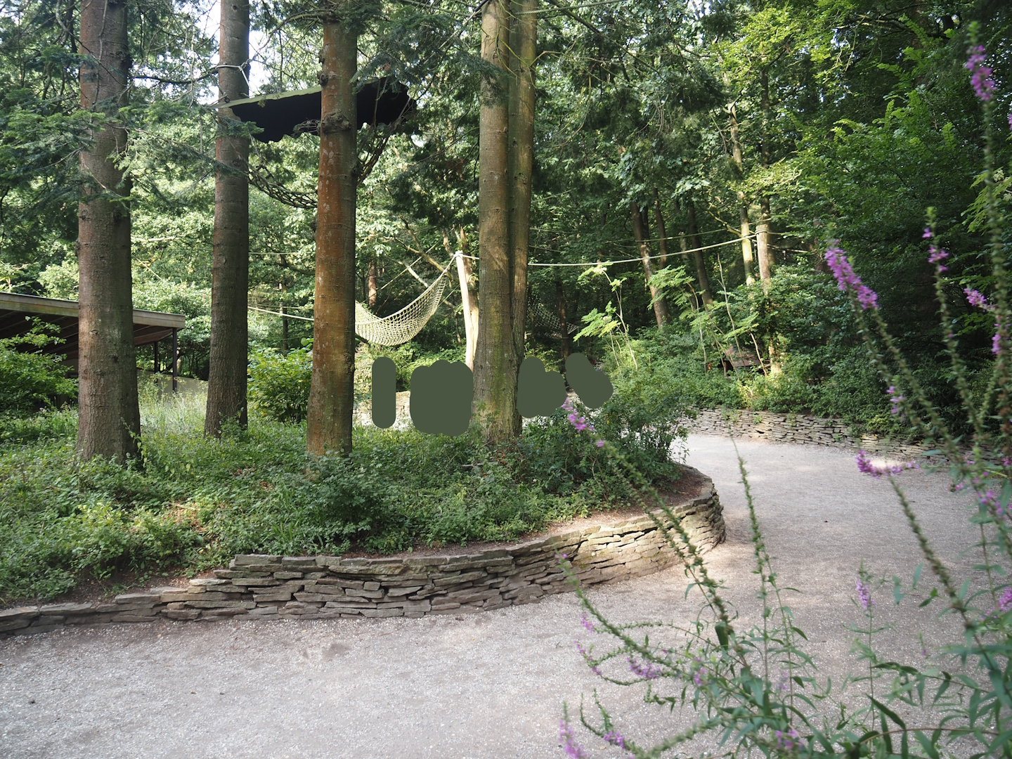 View in the Bolivian squirrel monkey forest, 2024-08-18