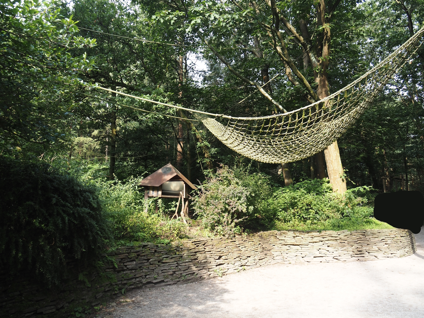 View in the Bolivian squirrel monkey forest, 2024-08-18