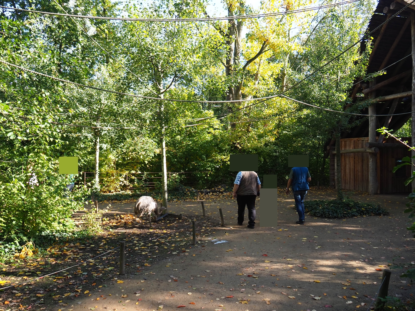 View in the Bolivian squirrel monkey forest (Oct 13th, 2018)