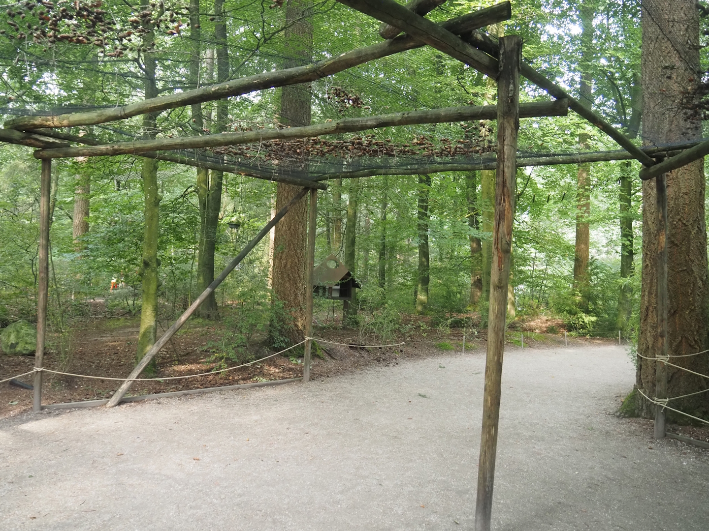 View in the Bolivian squirrel monkey forest with part of covered visitor area from covid era, 2024-08-18
