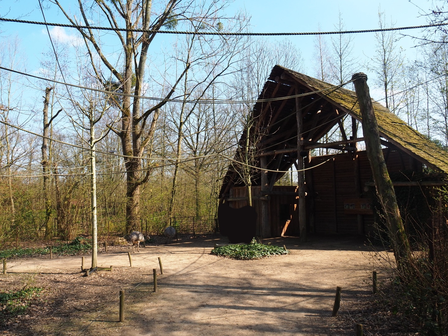View in the Bolivian squirrel monkey forest with shelter, 2019-03-30