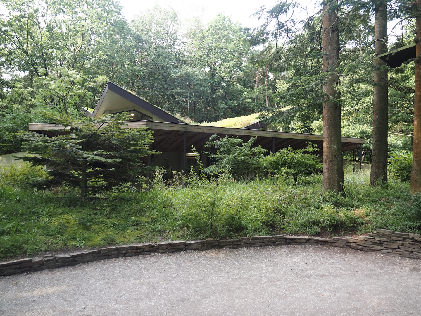 View in the Bolivian squirrel monkey forest, with squirrel monkey house in the background, 2024-08-18