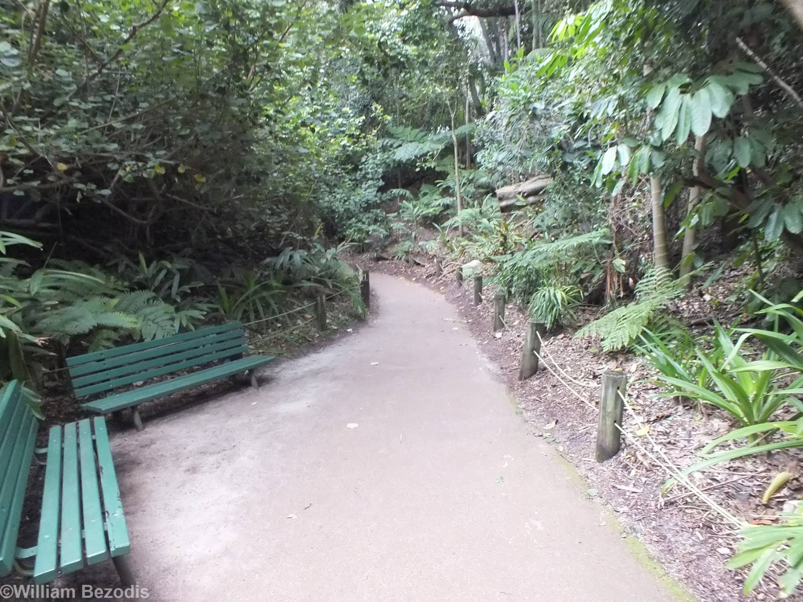 View in the Botanic Walk