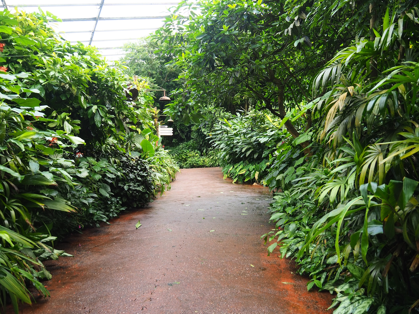 View in the Bush, 2023-10-07