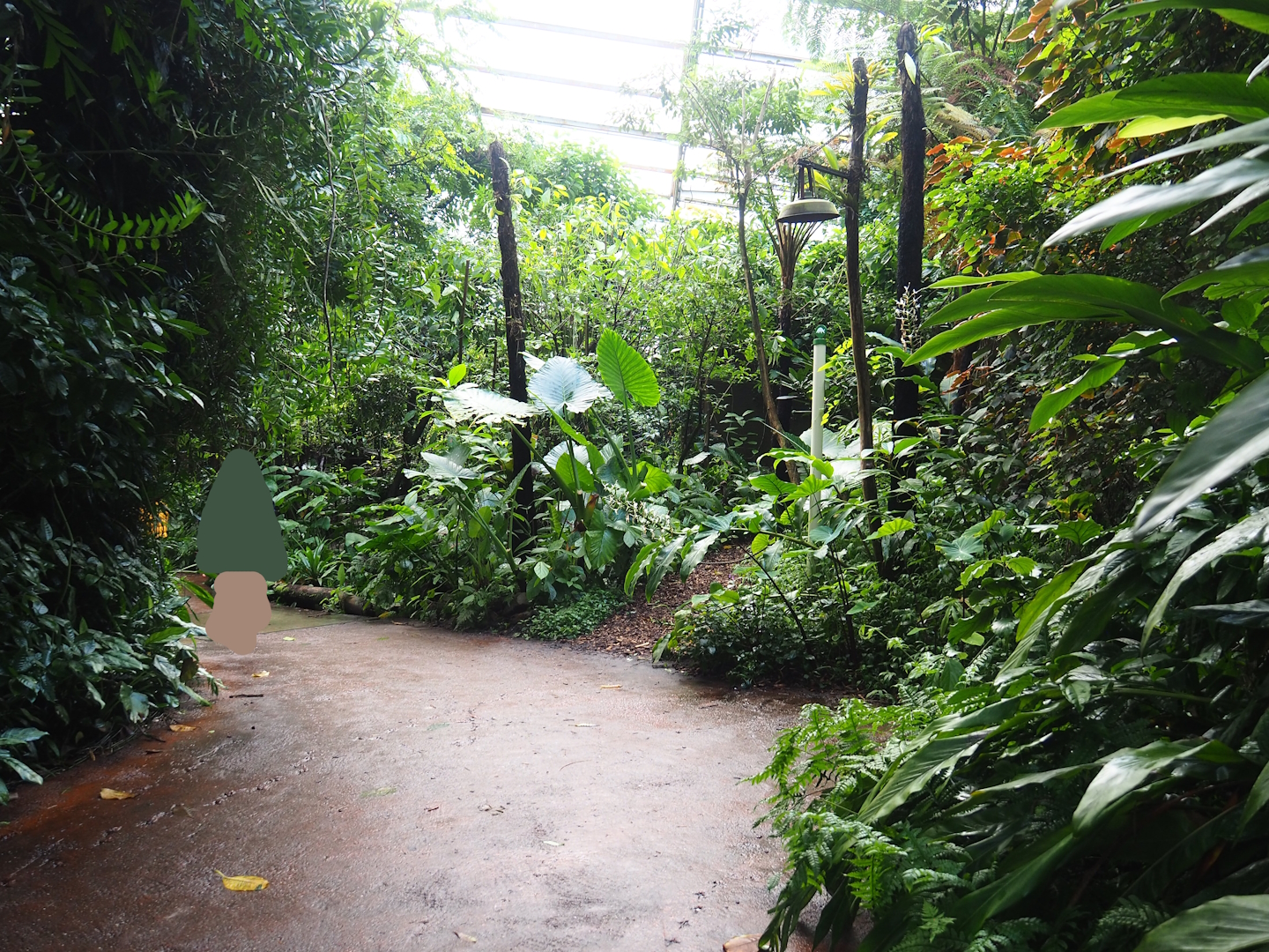 View in the Bush, 2023-10-07