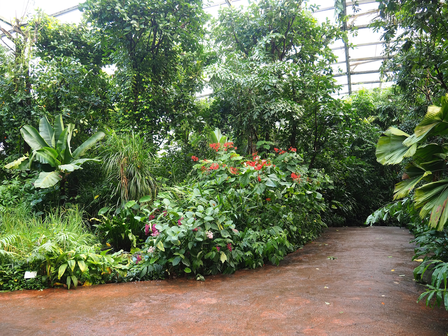 View in the Bush, 2023-10-07