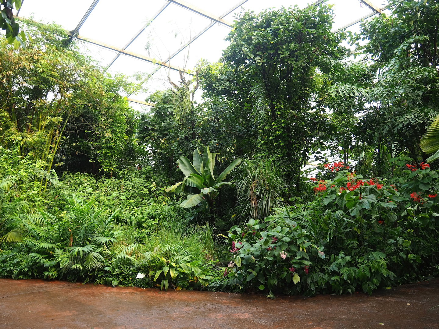 View in the Bush, 2023-10-07