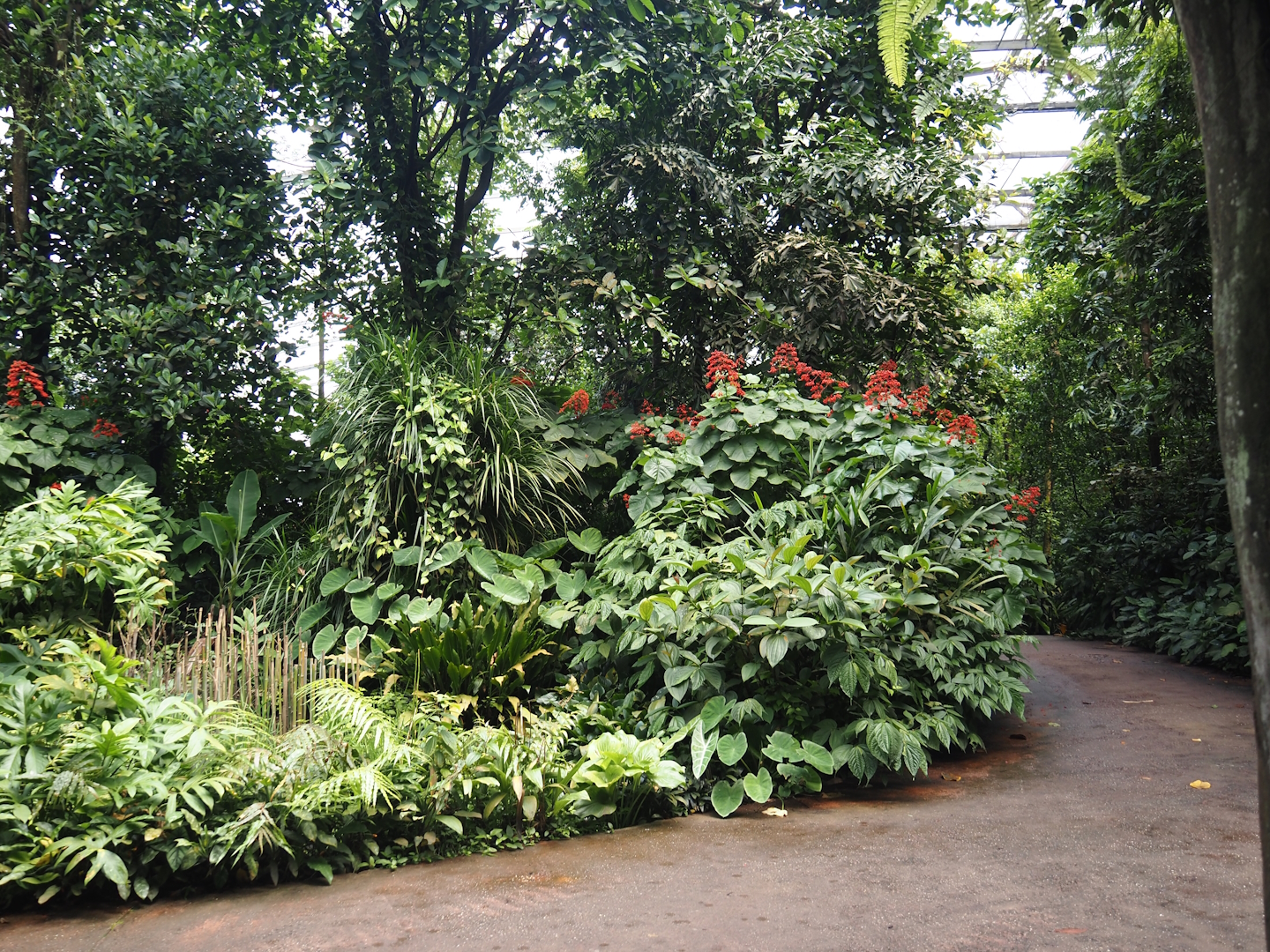 View in the Bush, 2025-05-17