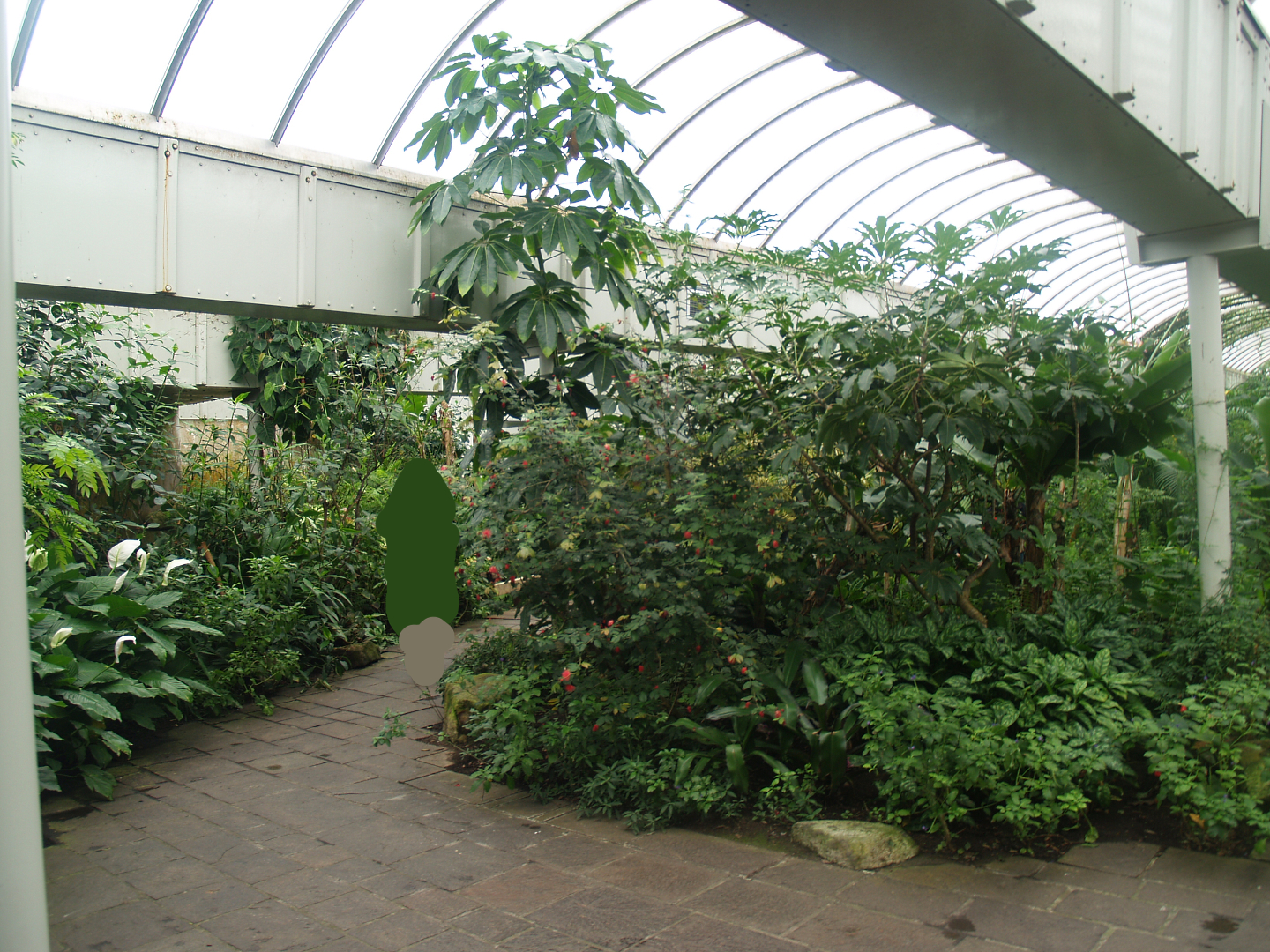 View in the Butterfly garden, 2008-03-01