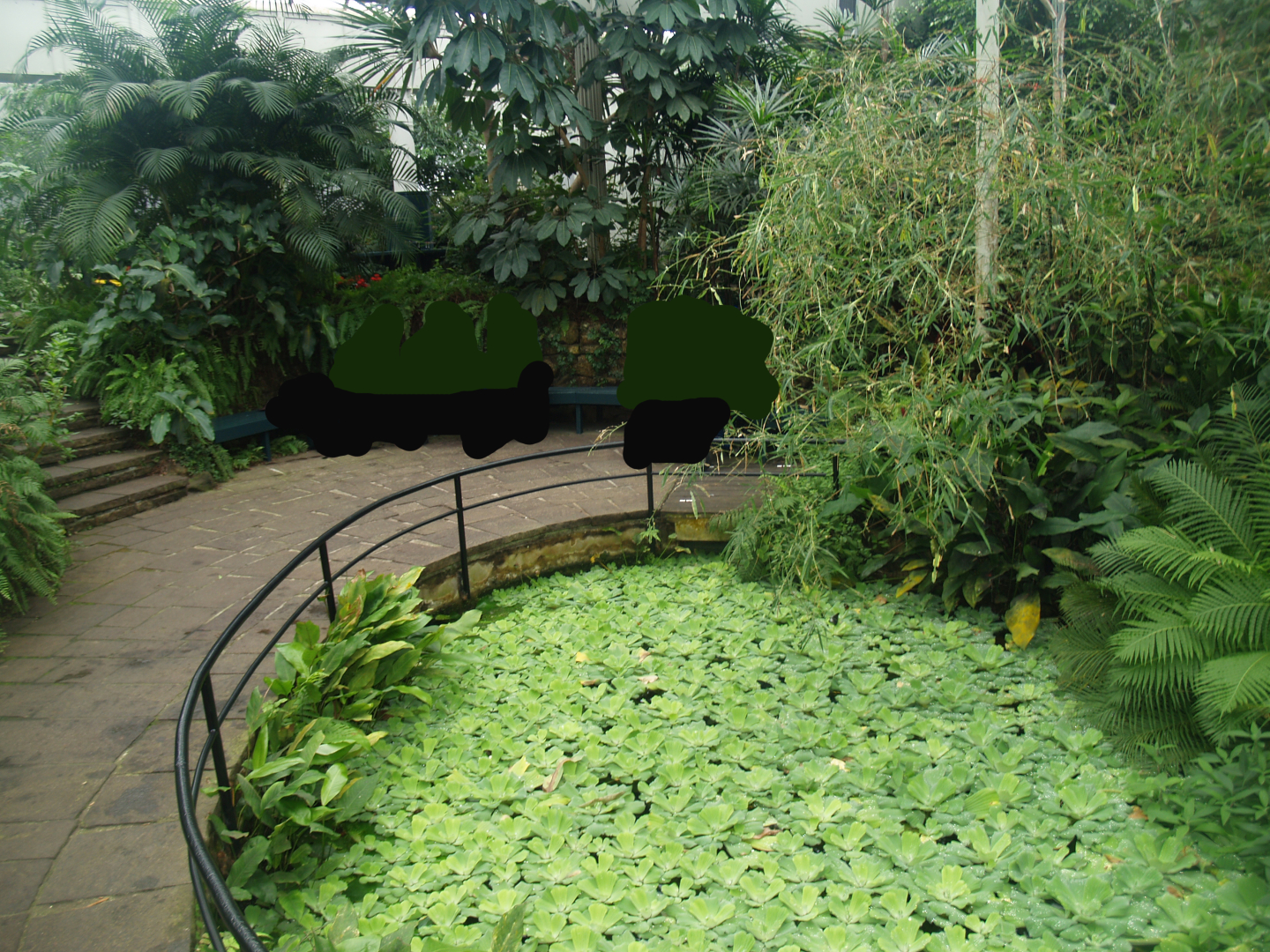 View in the butterfly garden, 2008-03-01