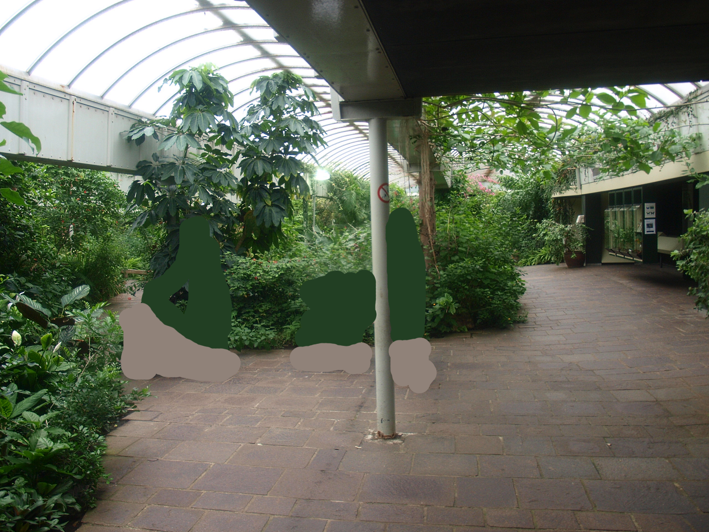 View in the butterfly garden, 2015-07-19