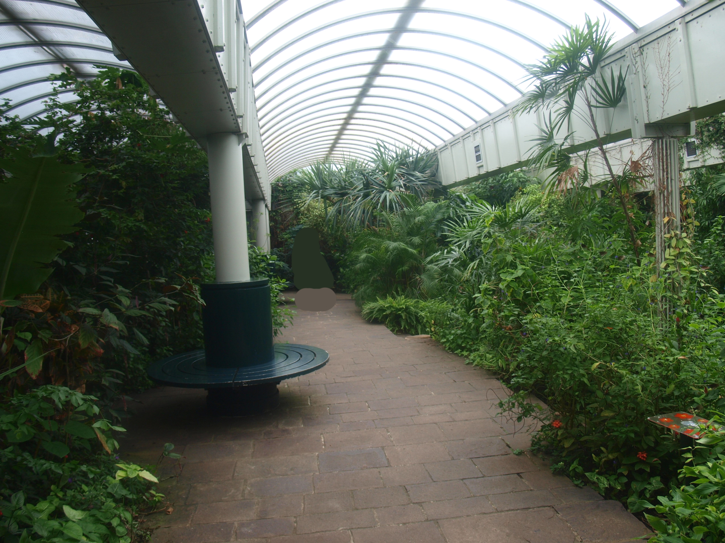 View in the butterfly garden, 2015-07-19