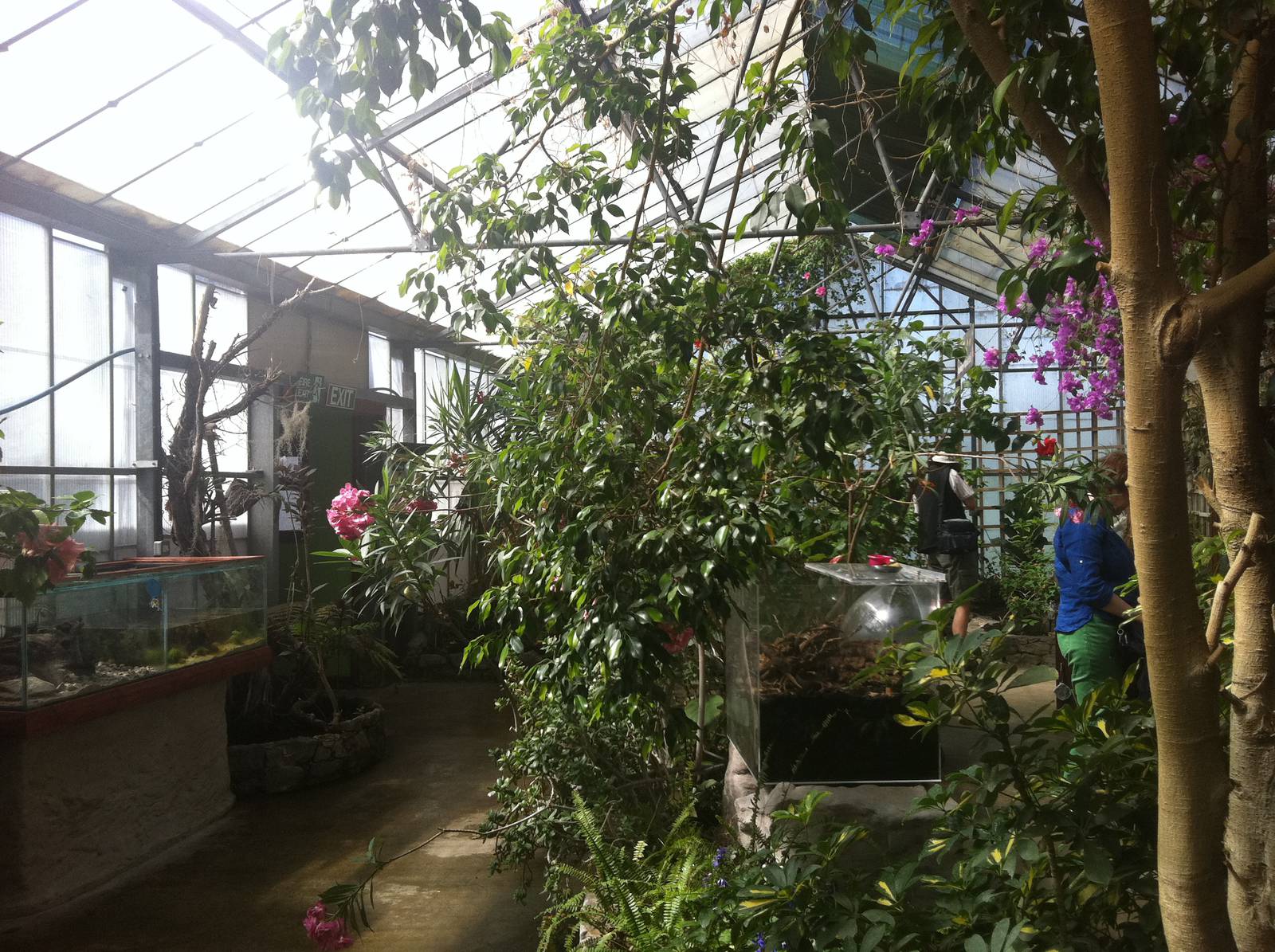 View in the Butterfly Hall- 24th April 2011