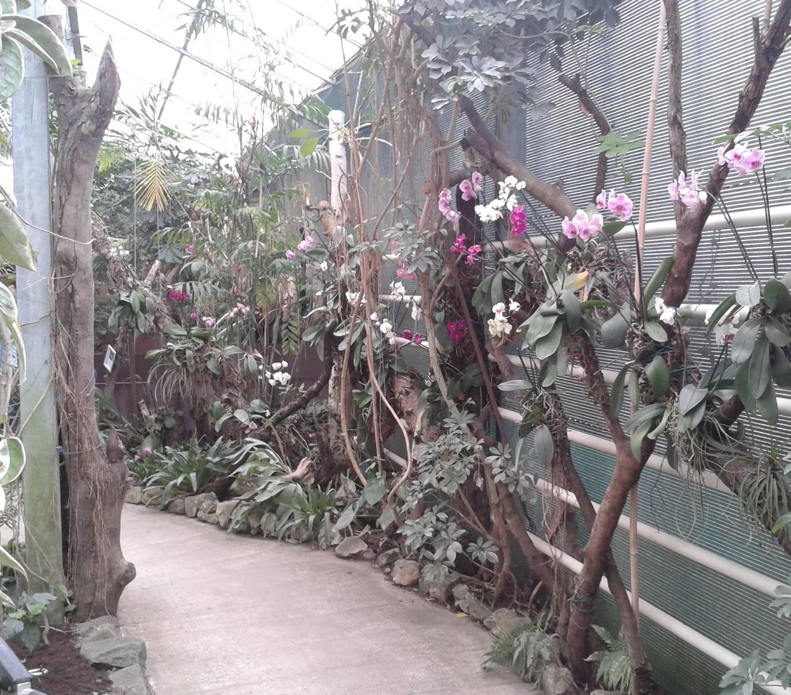 view in the butterfly-hall