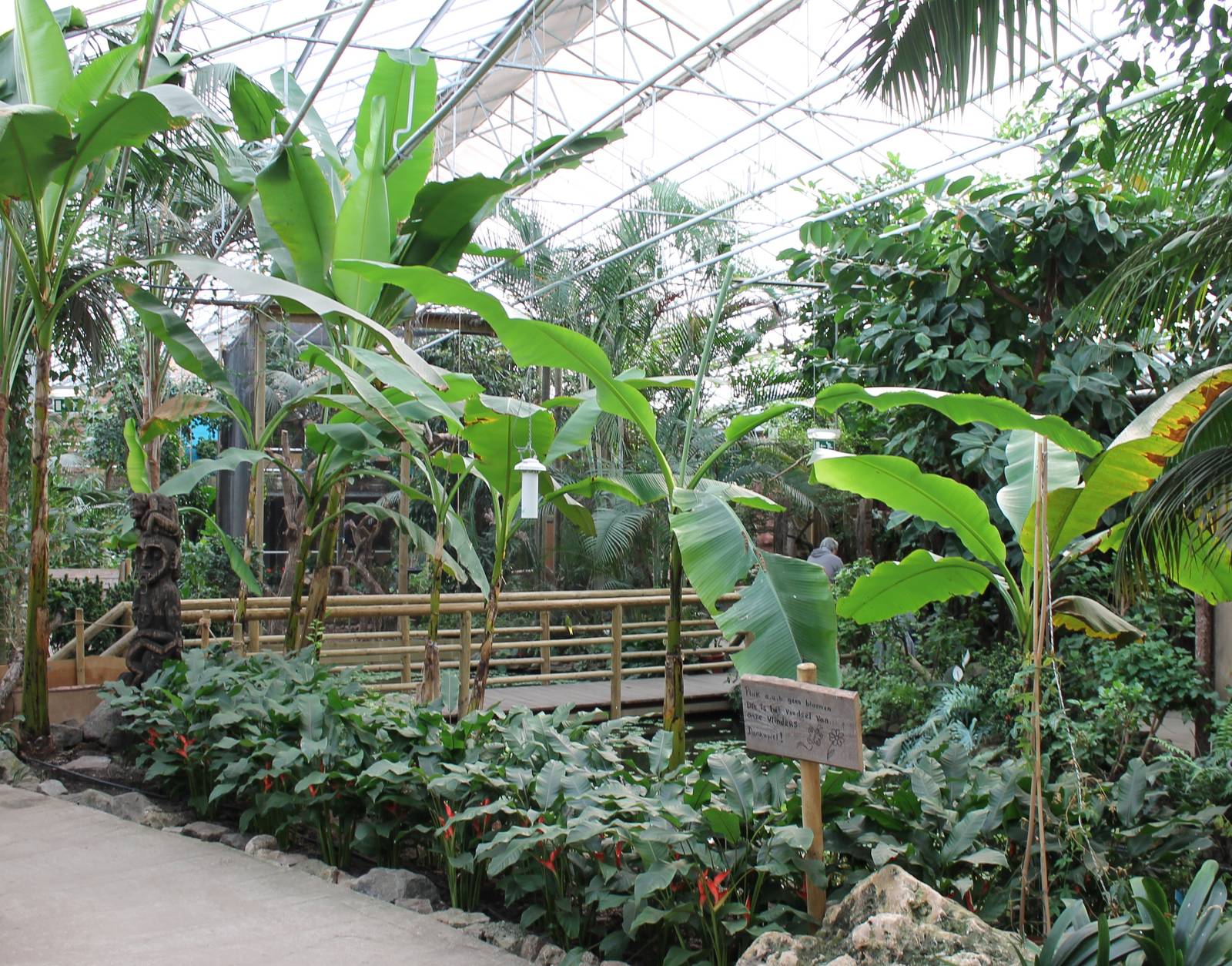 View in the Butterfly hall