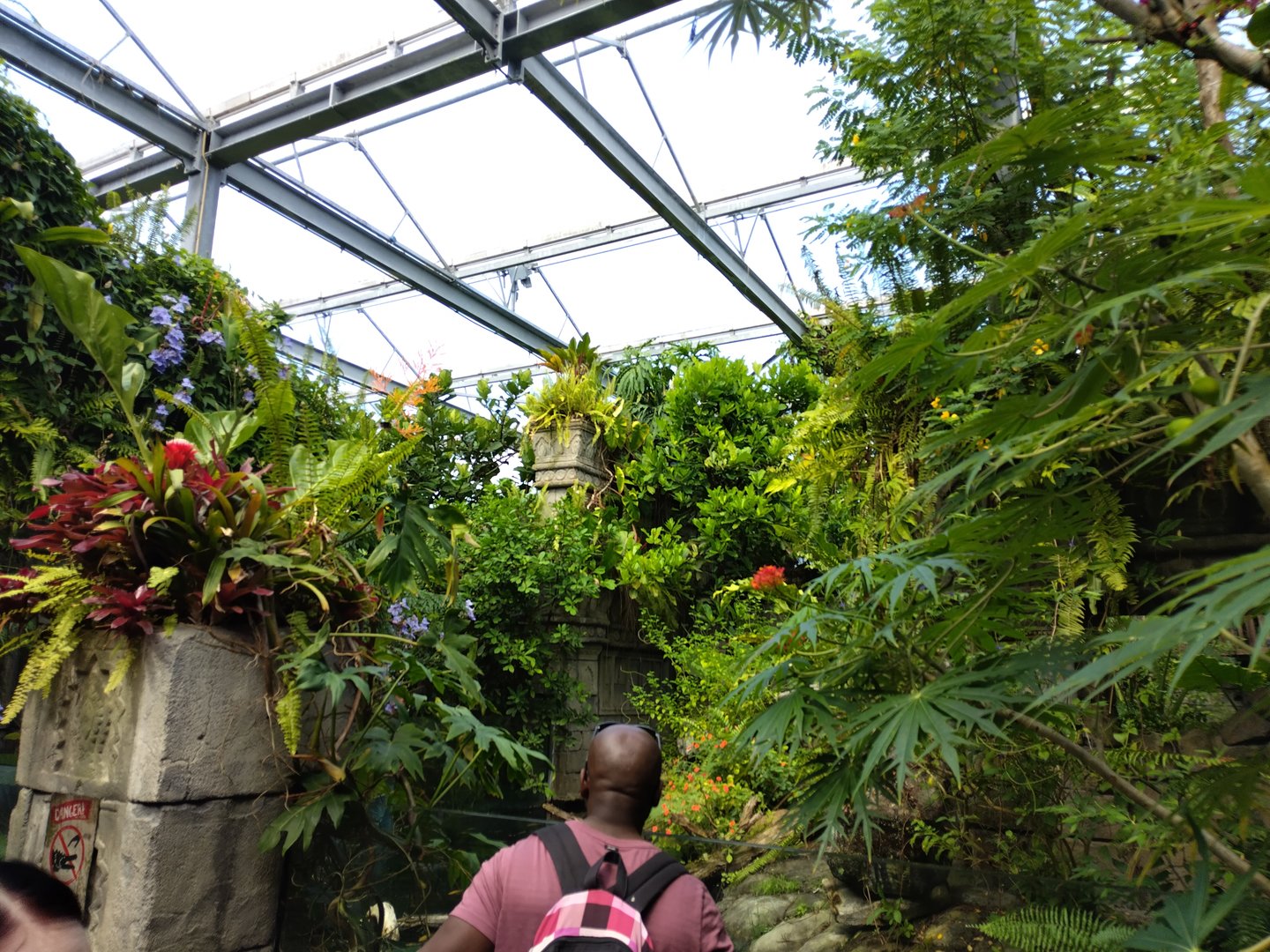 View in the butterfly hall