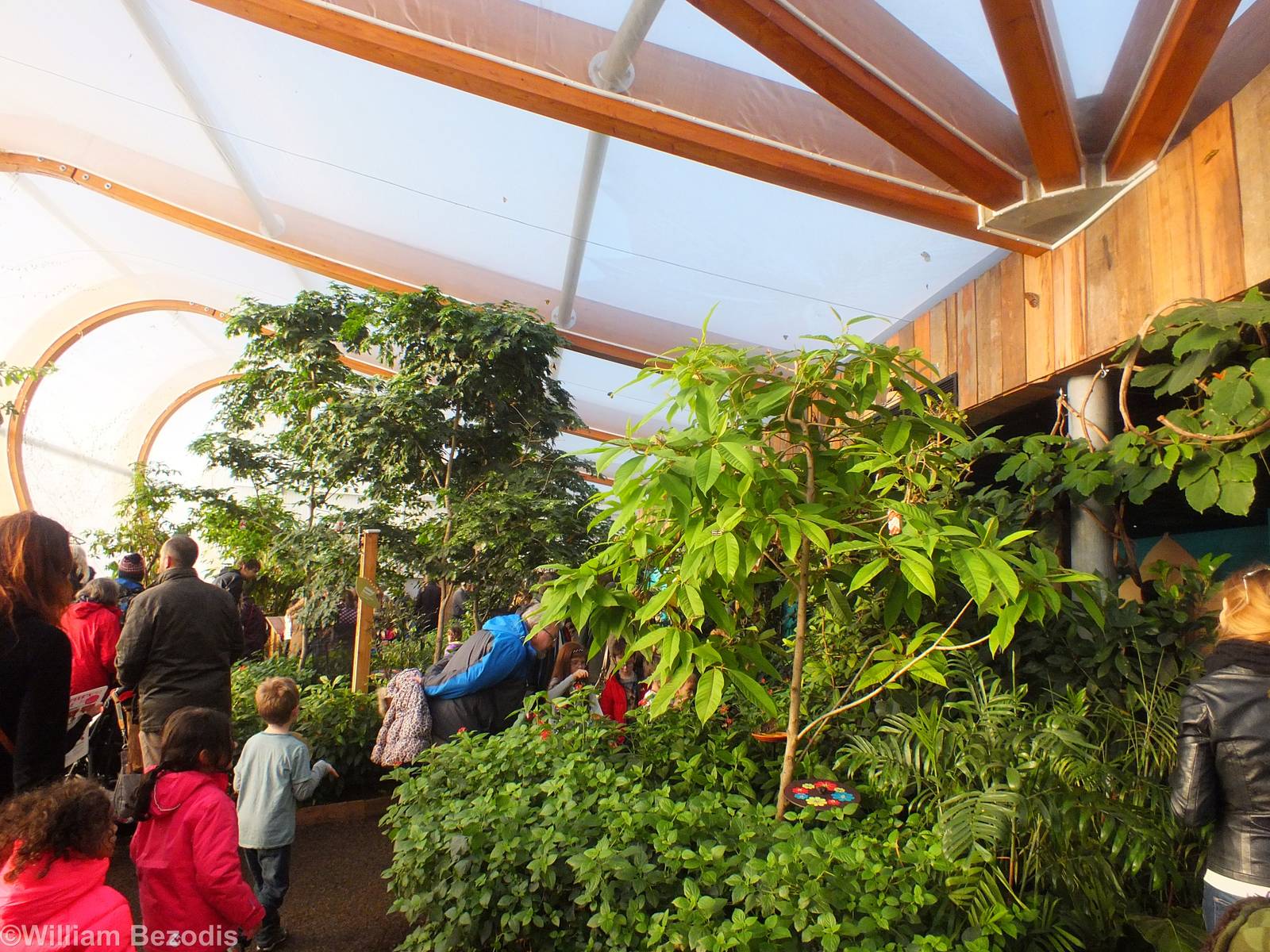 View in the Butterfly House
