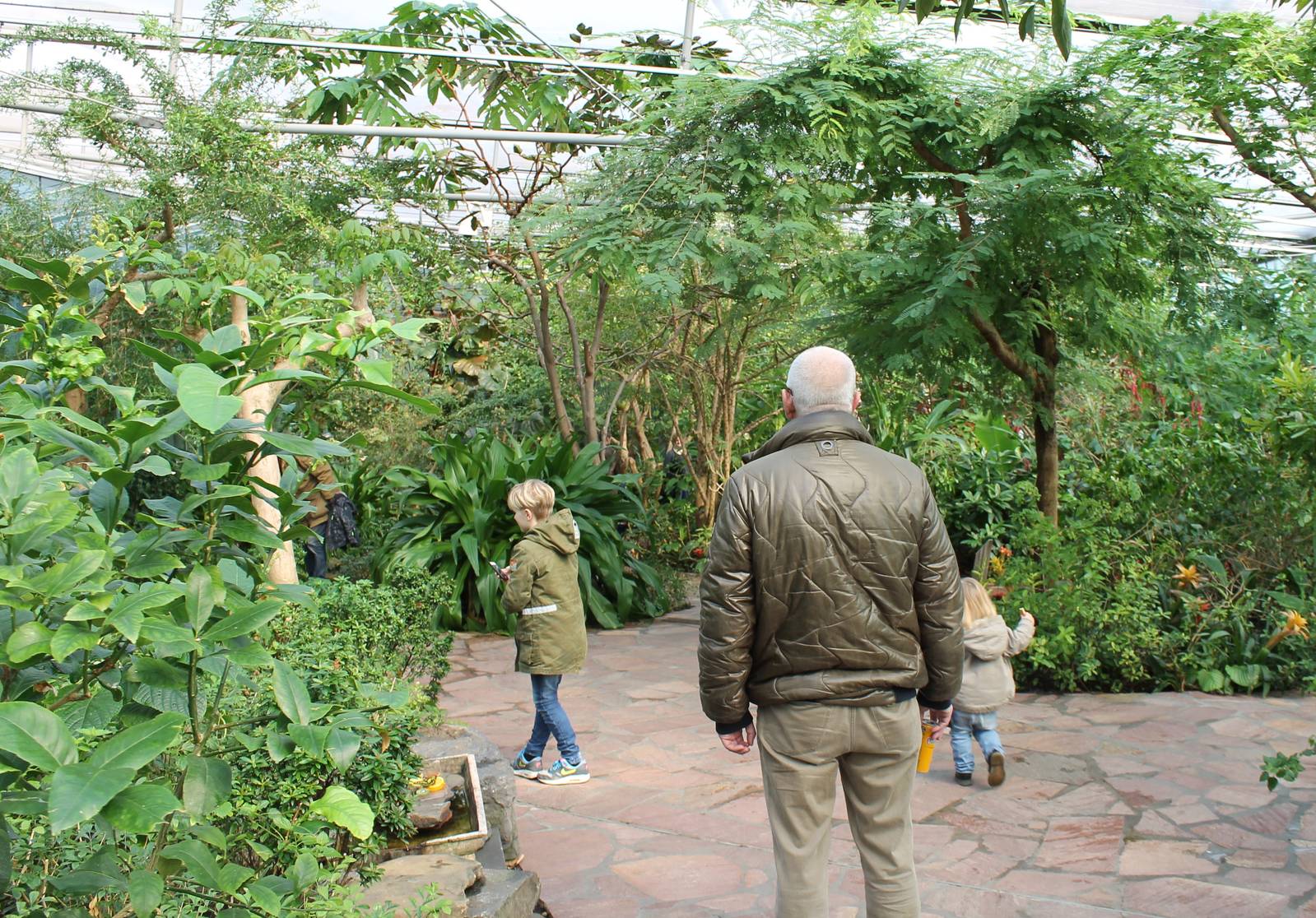 View in the Butterfly walk-through