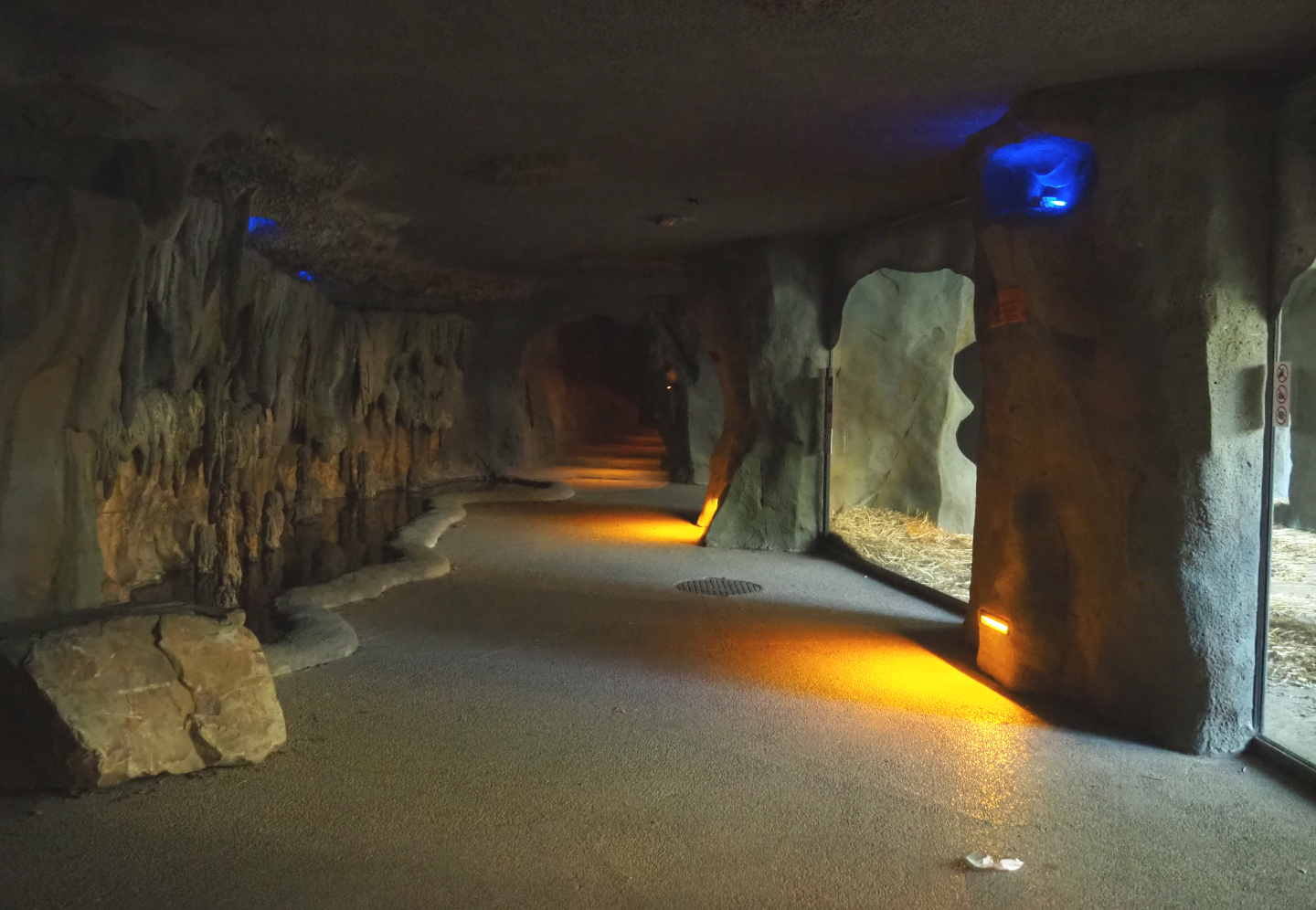 View in the cave under the restaurant, with gorilla viewing windows, 2020-09-20