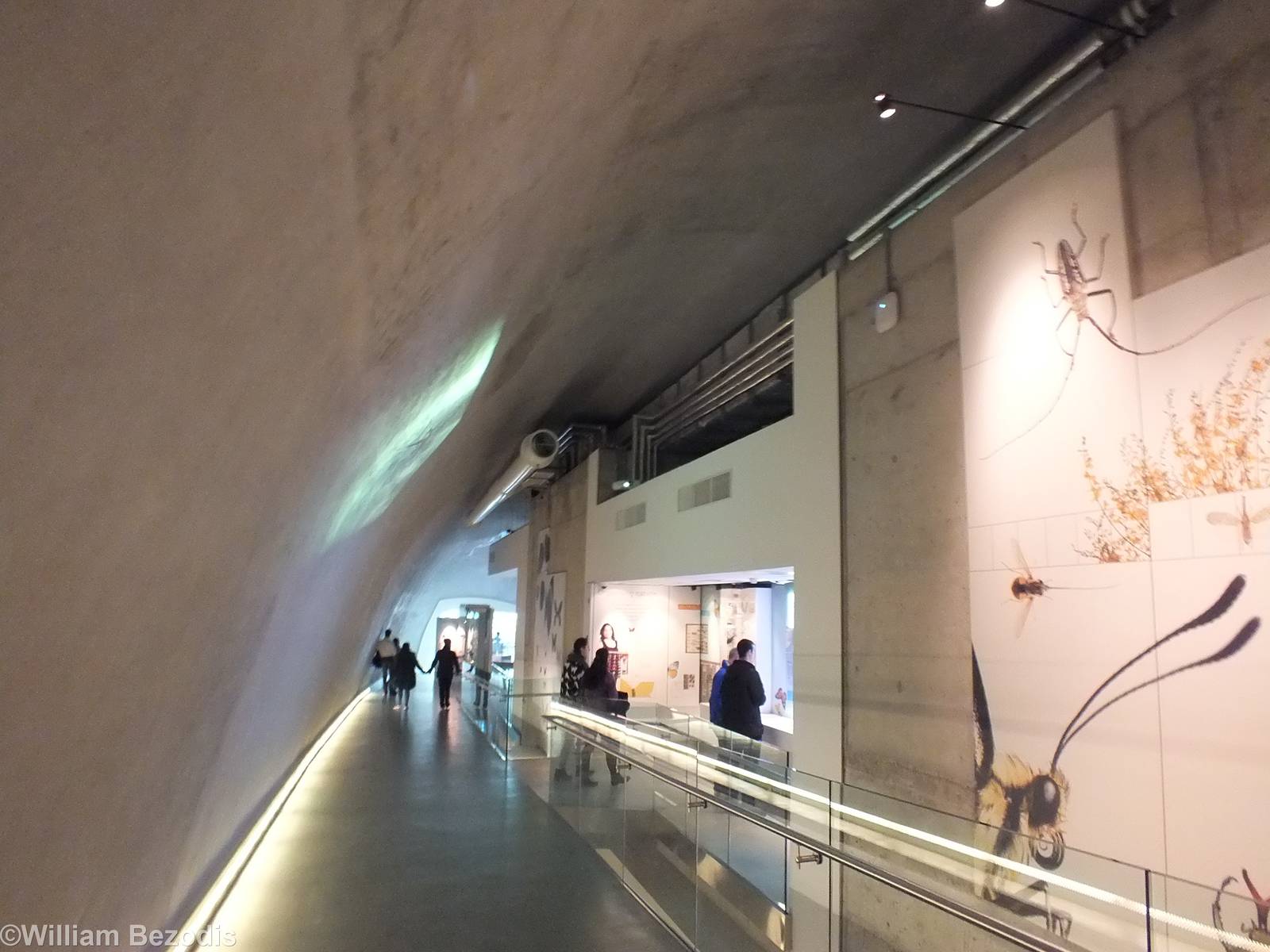 View in the Cocoon - NHM London