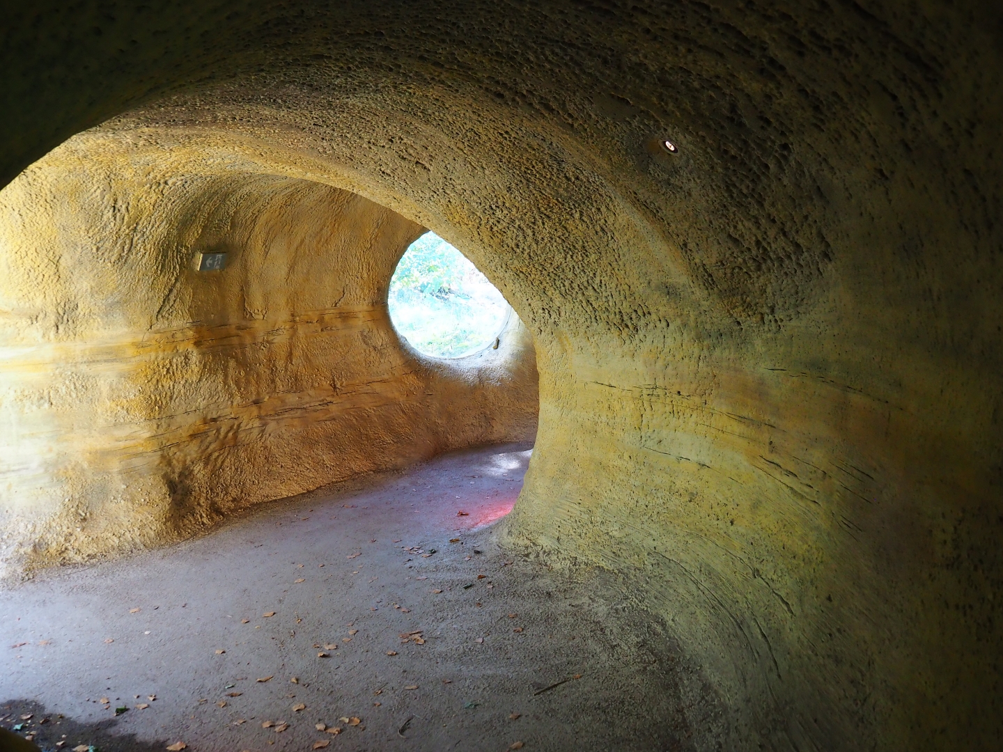 View in the den area