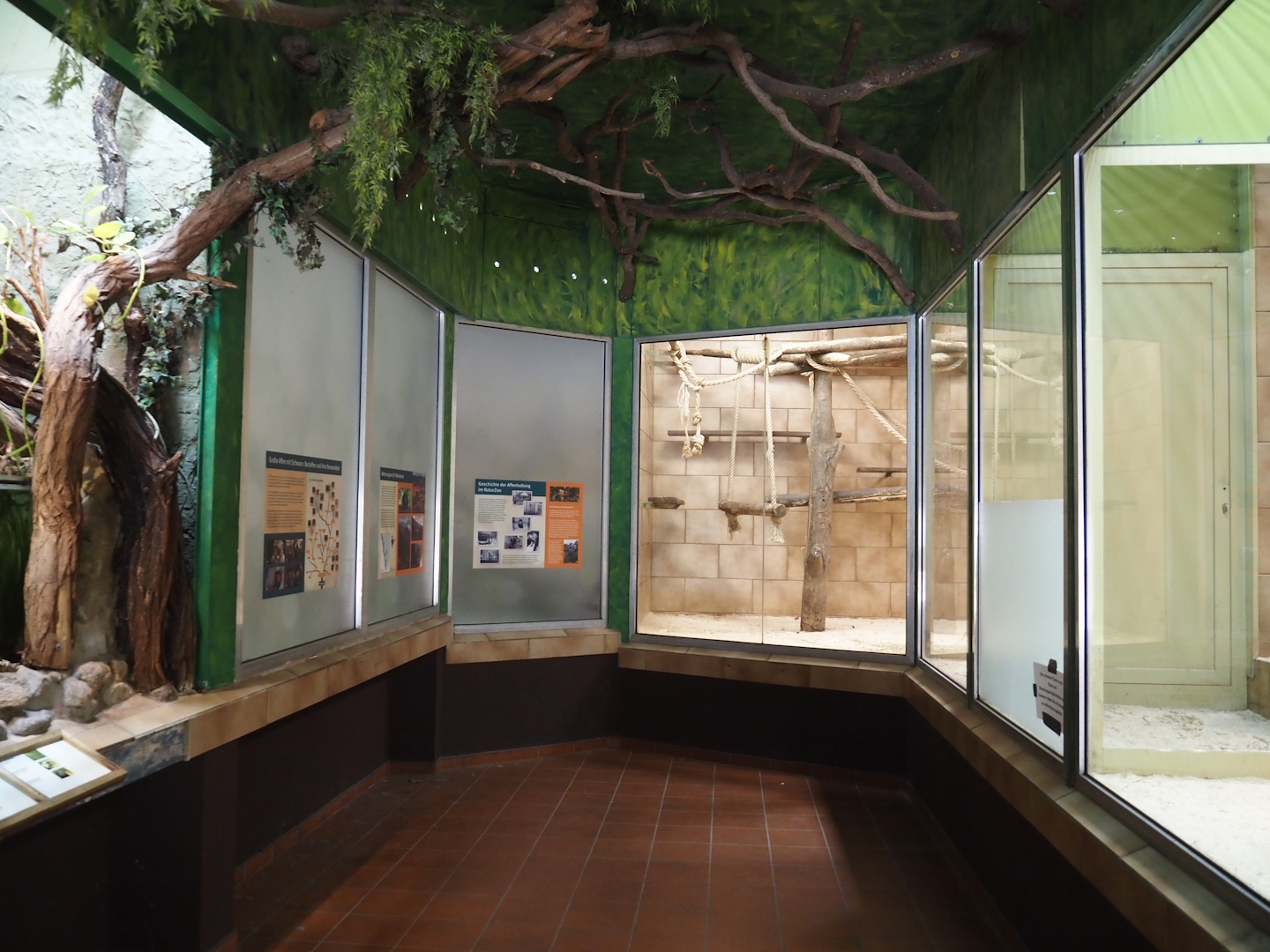 View in the Desmarest's hutia and Lion-tailed macaque house - Lion-tailed macaque indoor exhibits and signage, 2025-05-22