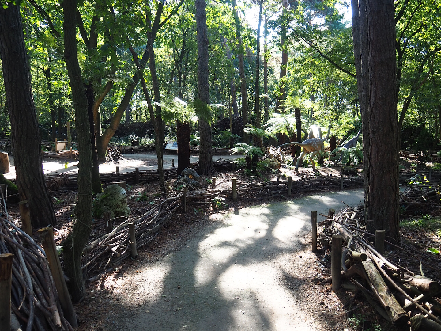 View in the Dino Forest, 2023-09-24