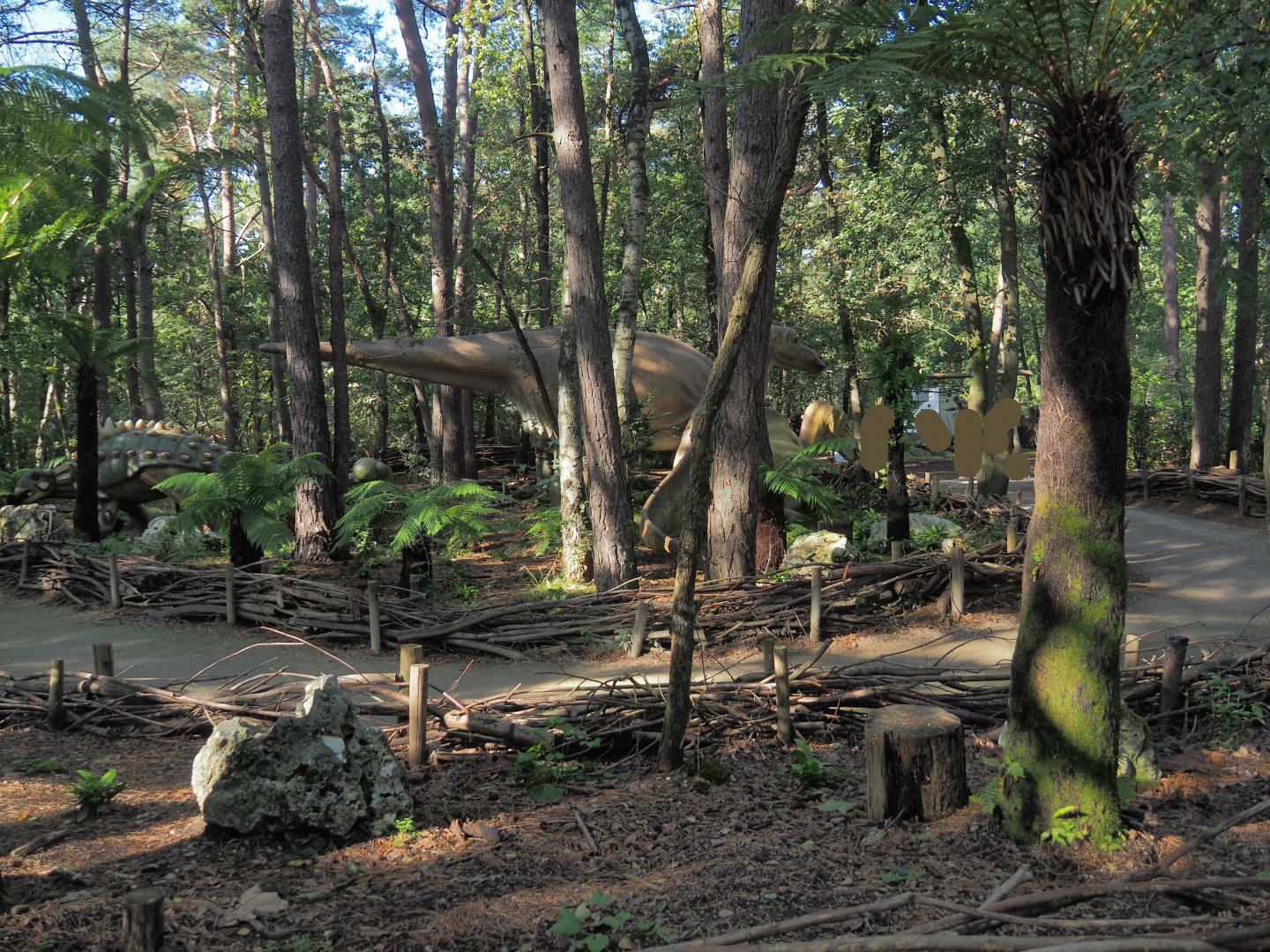 View in the Dino Forest, 2023-09-24